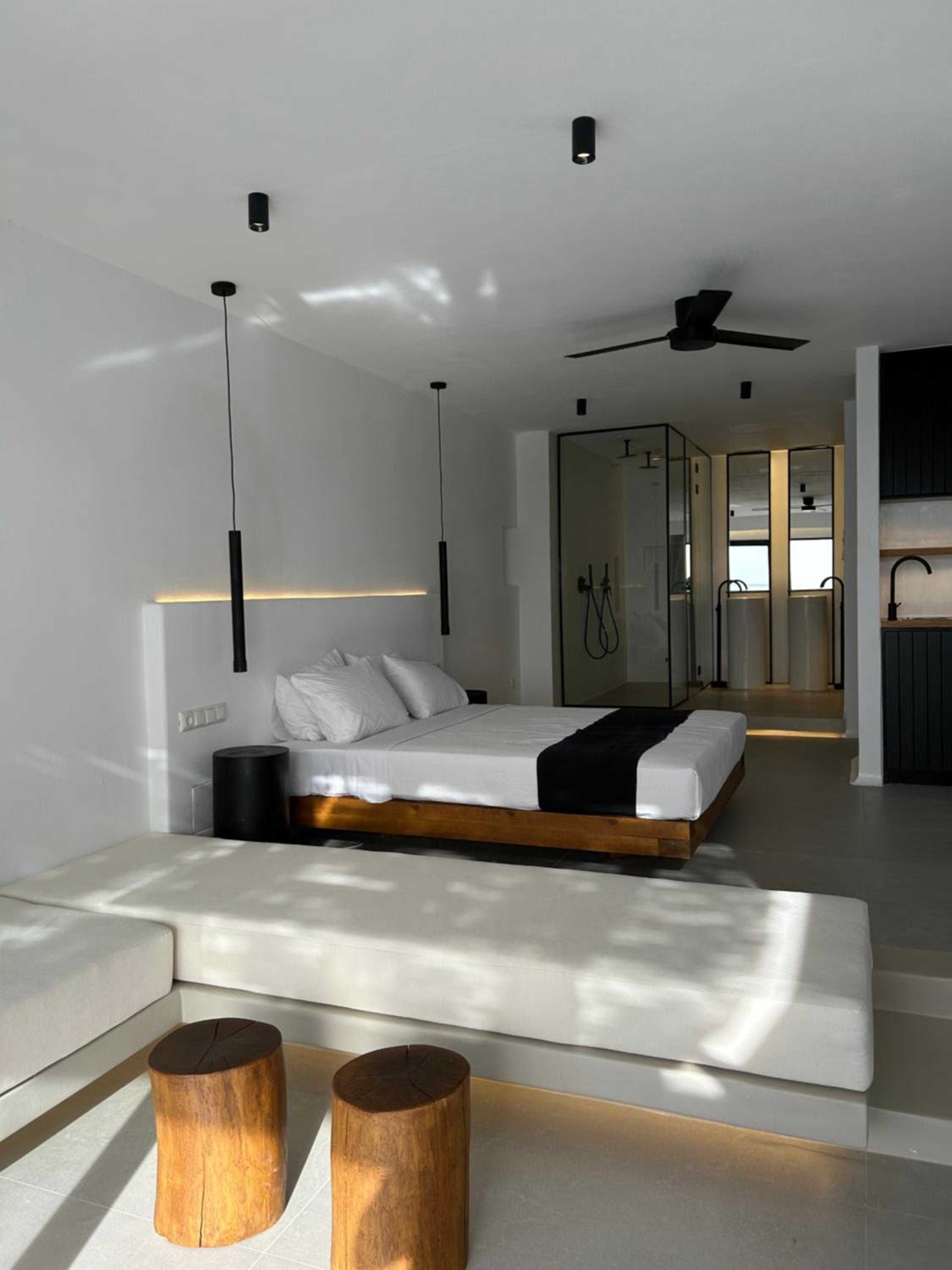 Suite with Private Pool photo 3