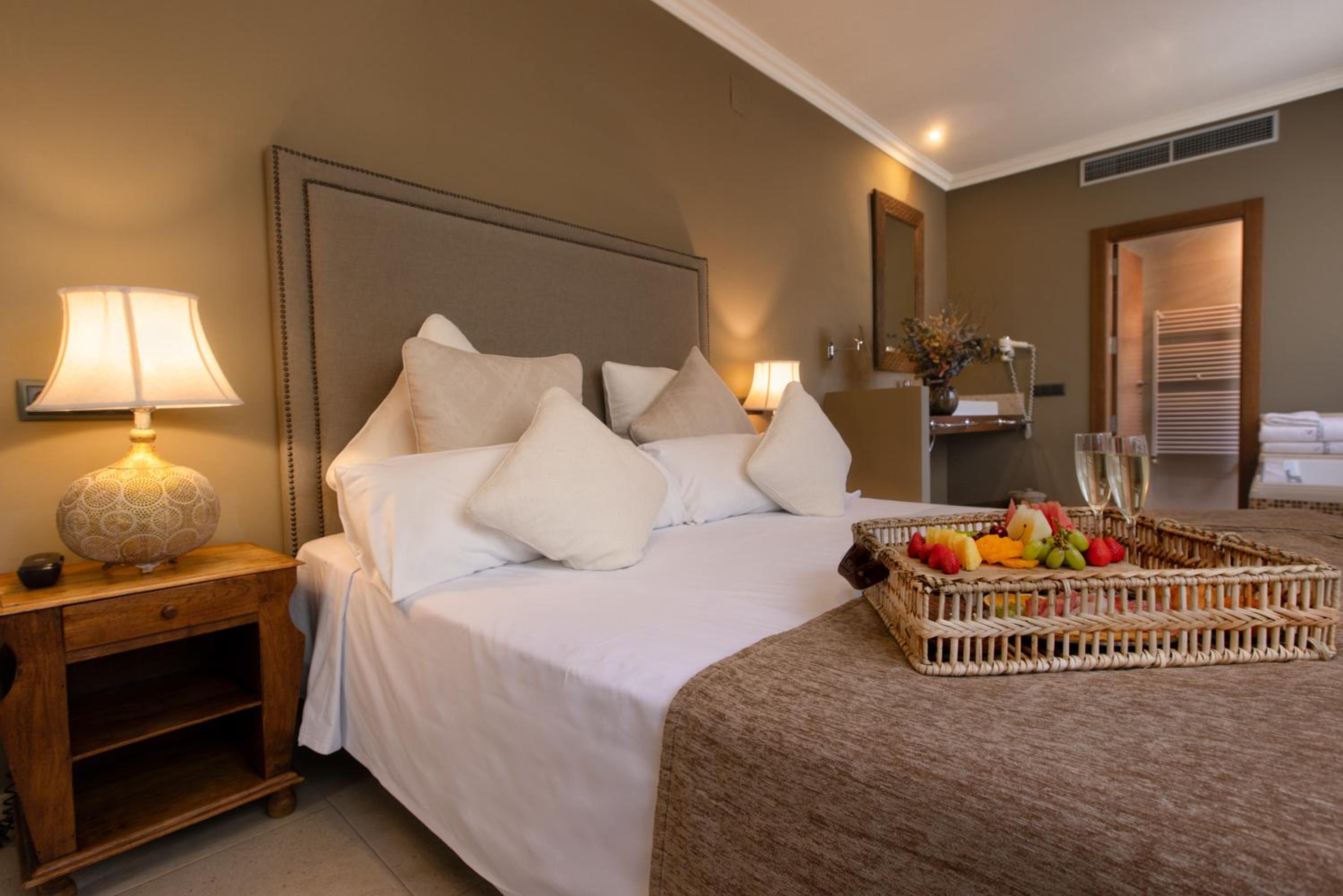 Superior Double or Twin Room with Terrace - Photo 1