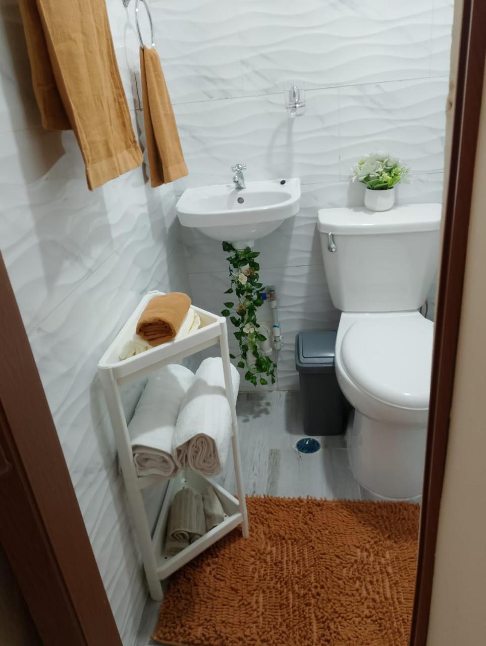 One-Bedroom House photo 3