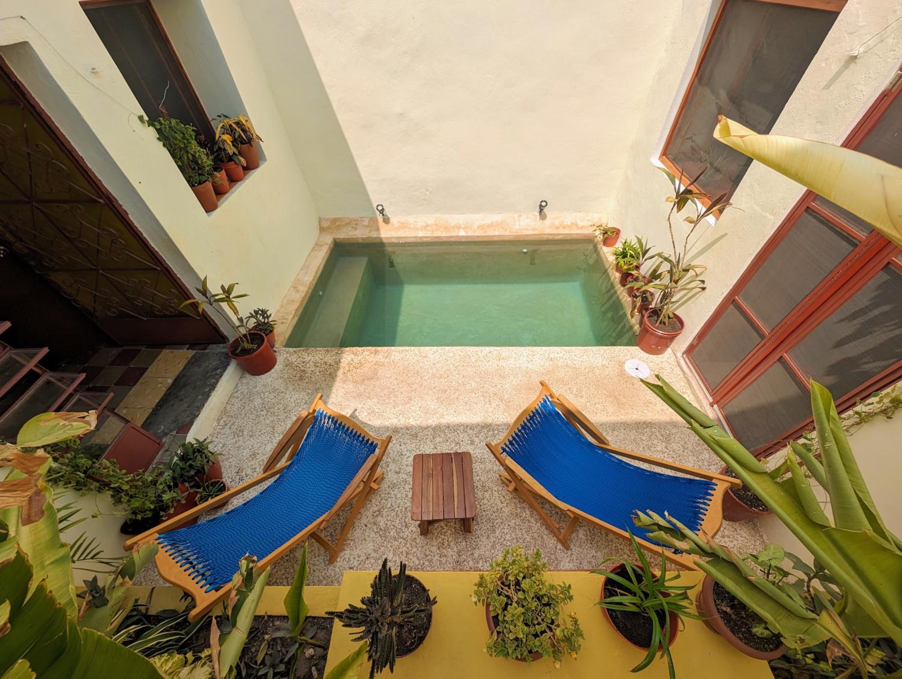 Double Room with Garden View photo 2