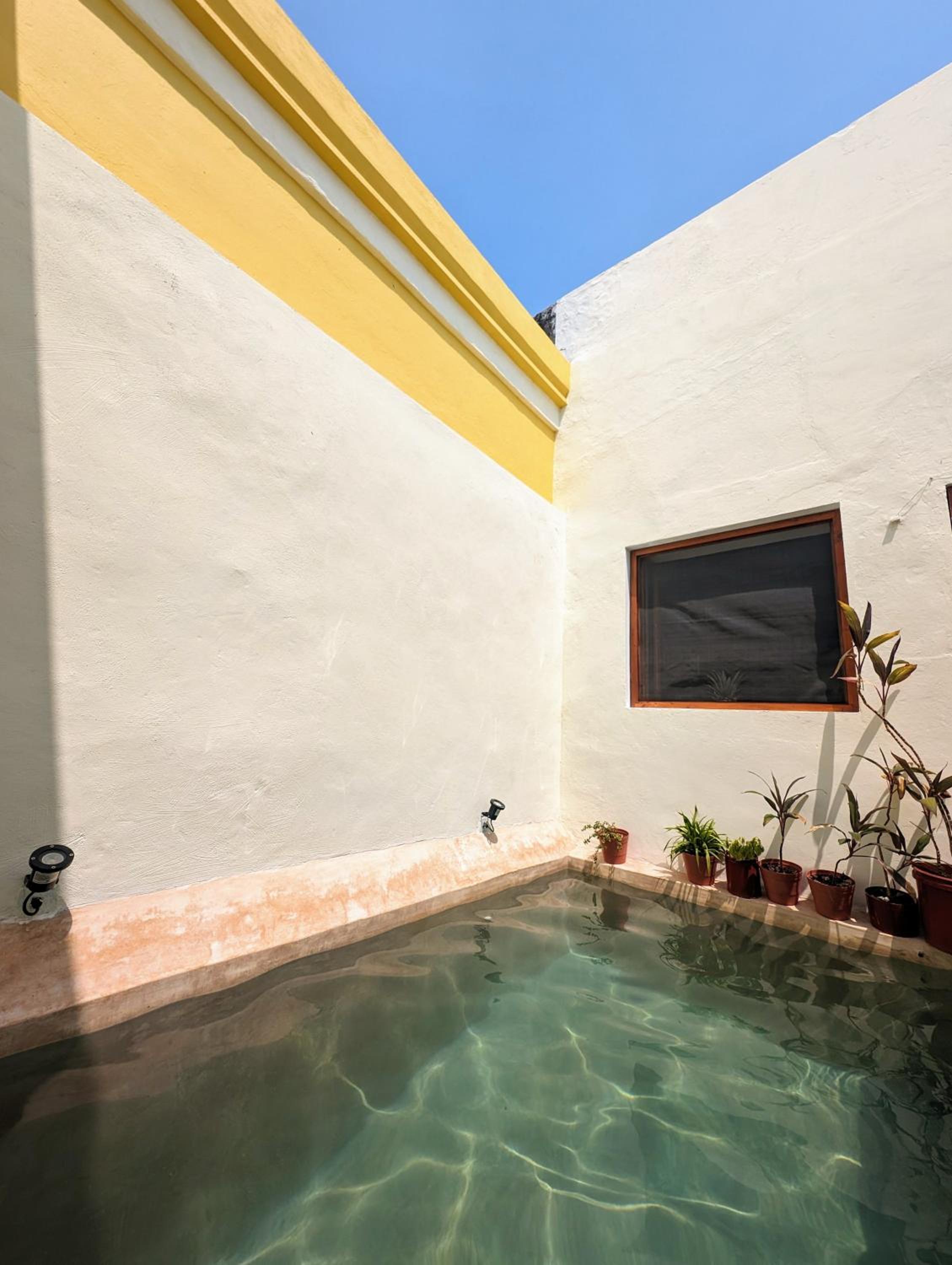 Double Room with Pool View photo 3