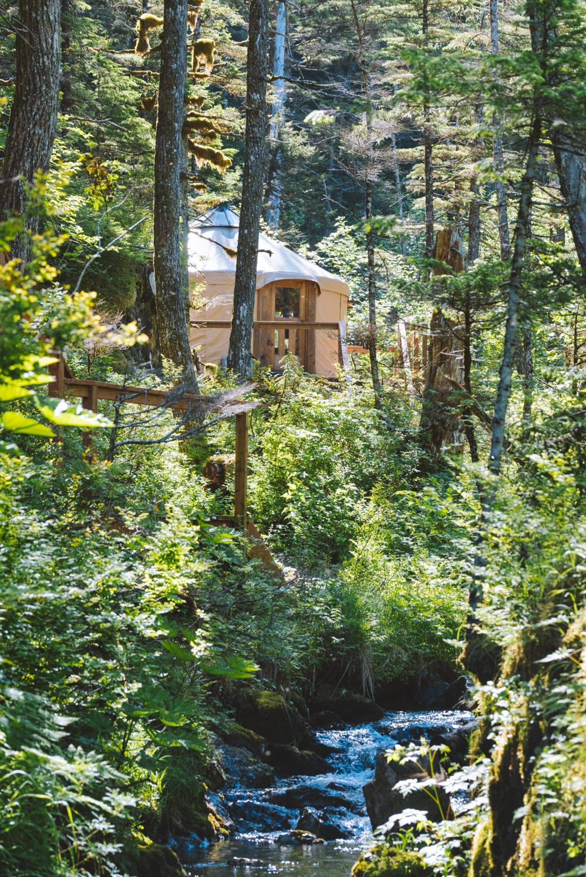 Original Yurt 4 photo 2