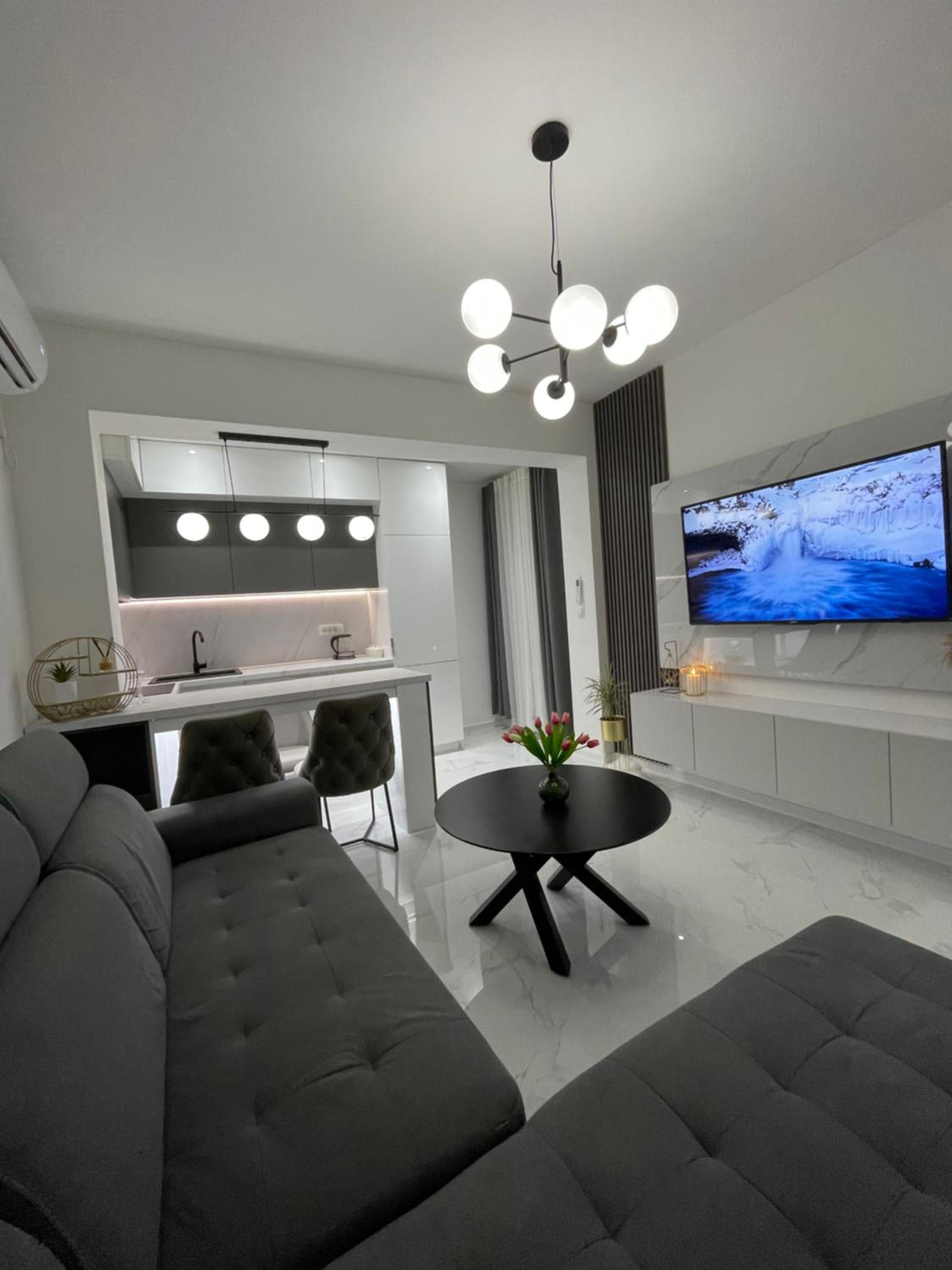 One-Bedroom Apartment photo 2
