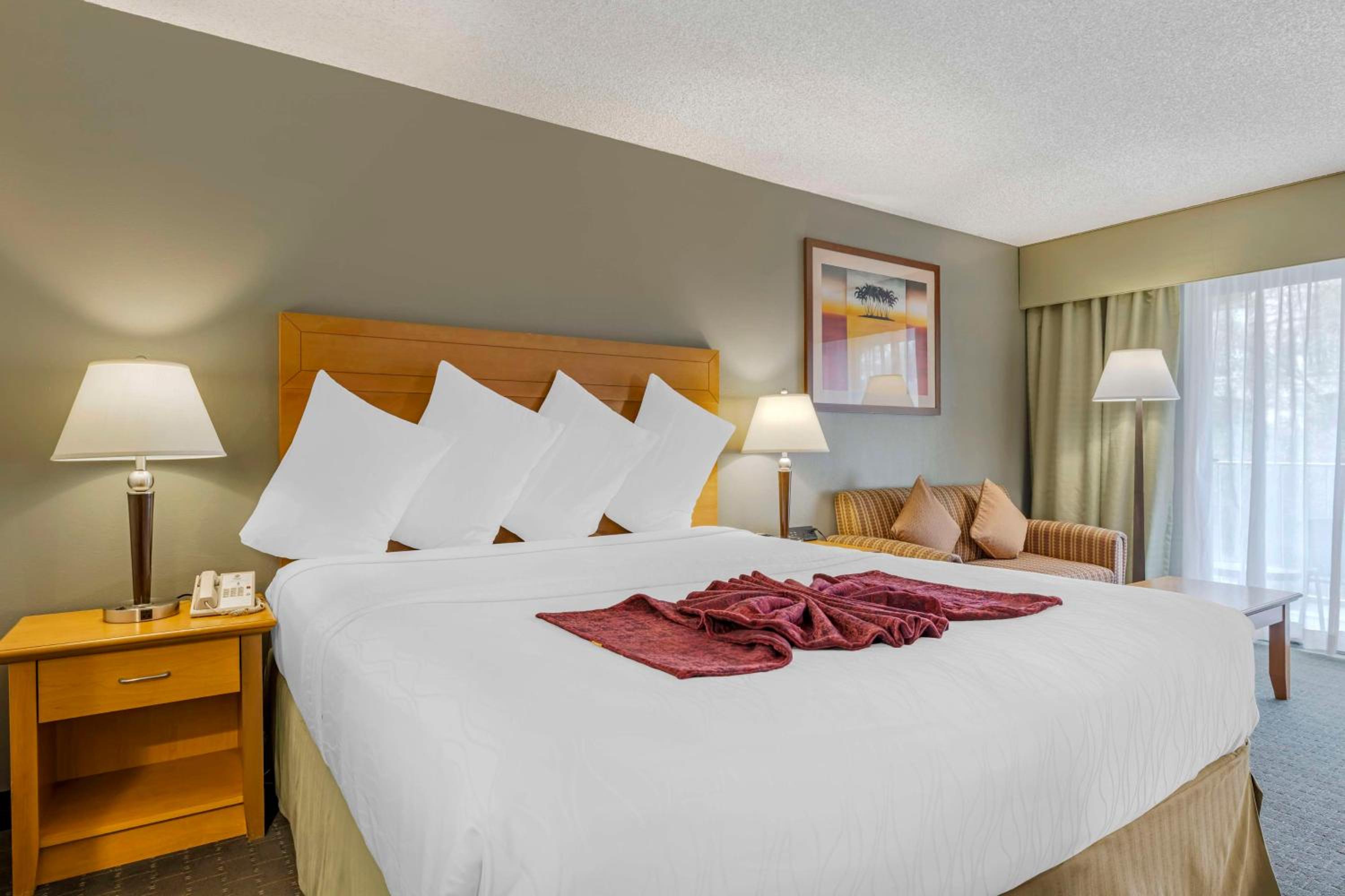 King Room - Non-Smoking - Photo 4