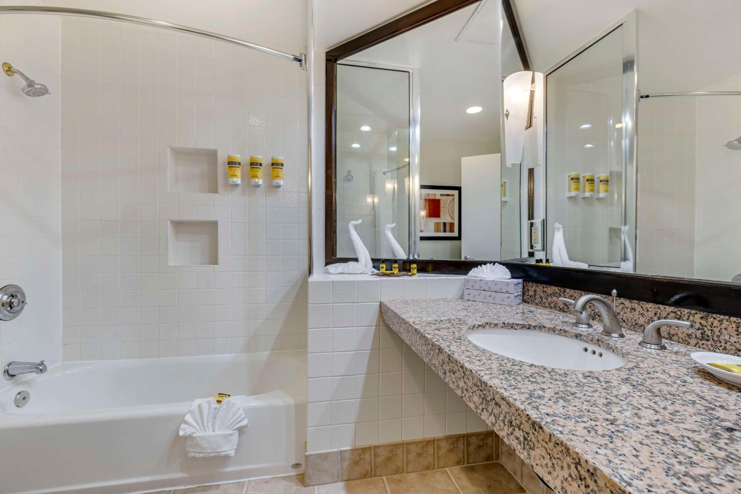 Double Suite - Non-Smoking - Photo 4