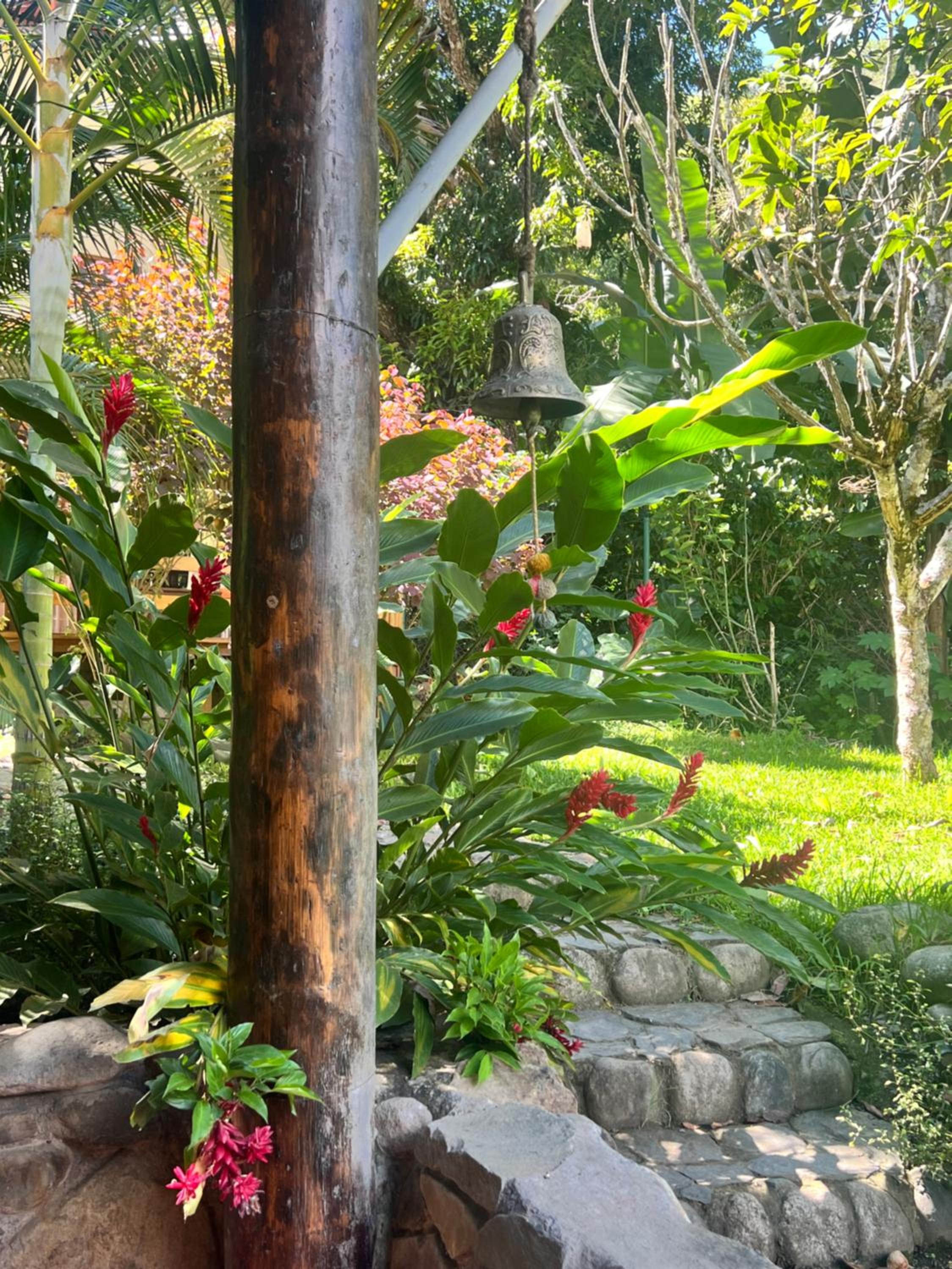 Family Bungalow photo 3