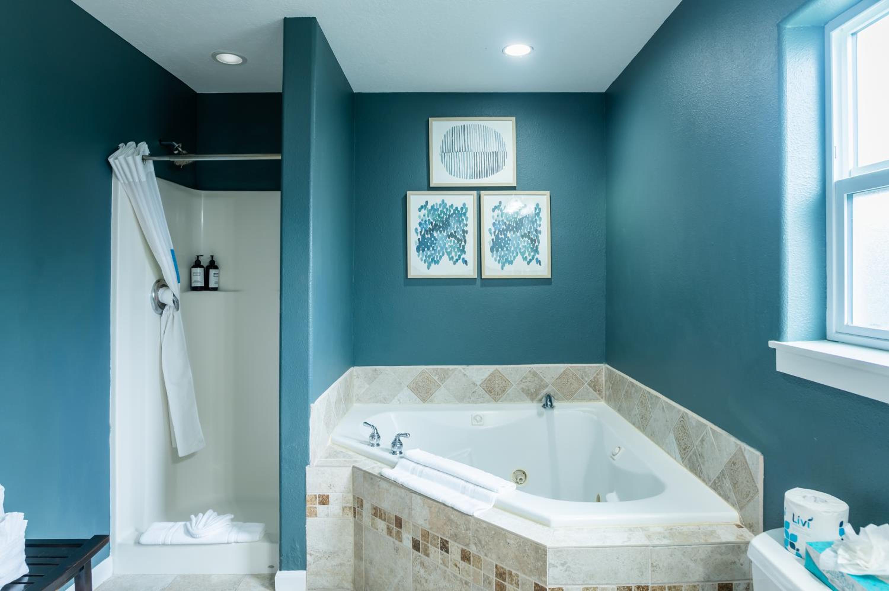 One Bedroom Suite with Spa - Photo 4