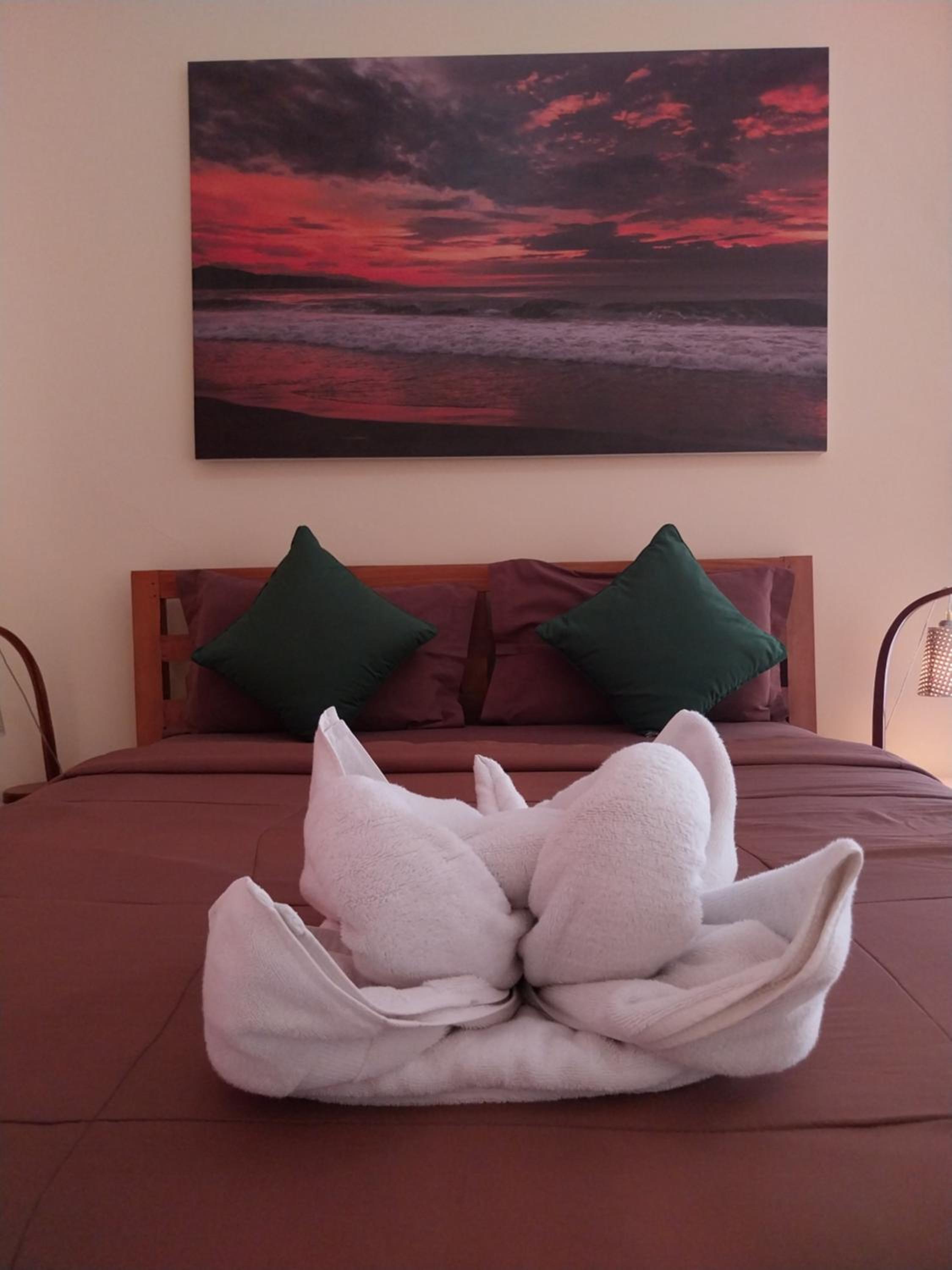 Suite - Photo 6
