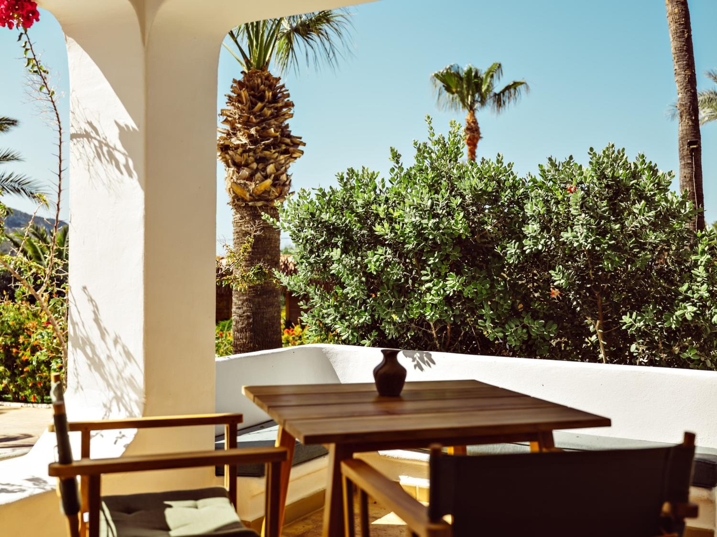 Suite Planta Baja con Terraza