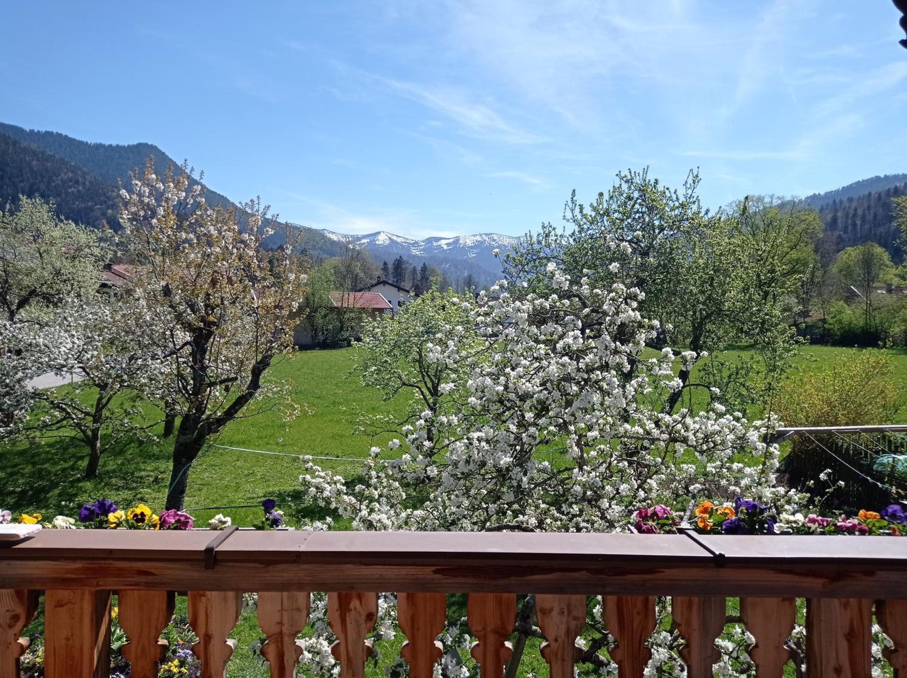 One-Bedroom Apartment with Balcony photo 2