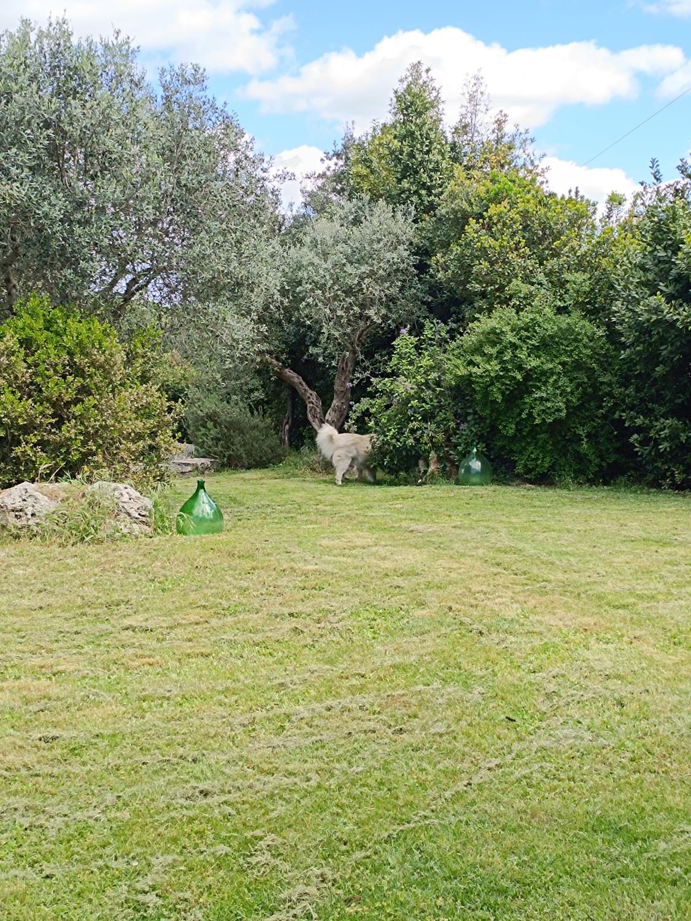 Vacation Home - Photo 32