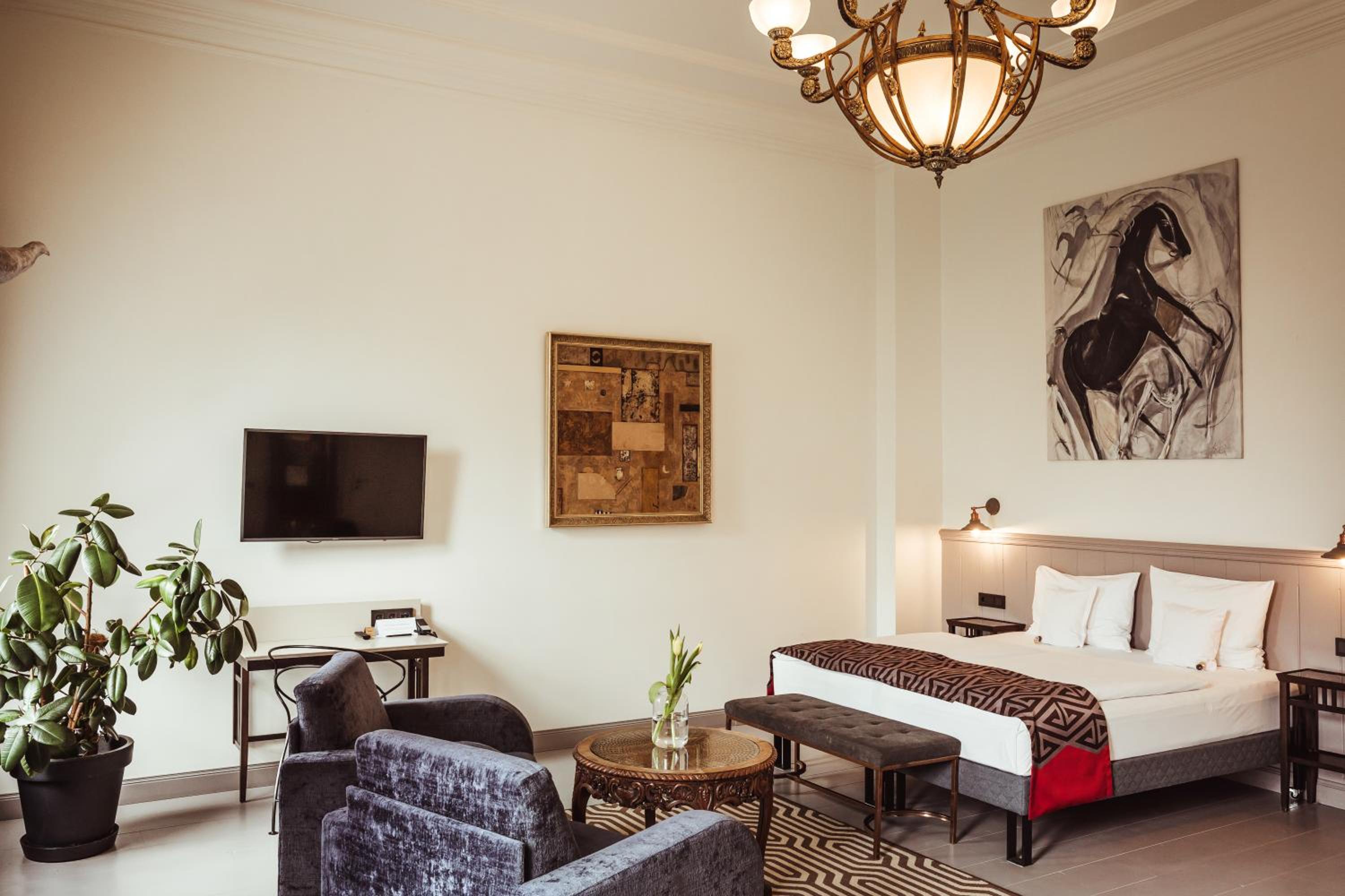 Junior Suite - Photo 1