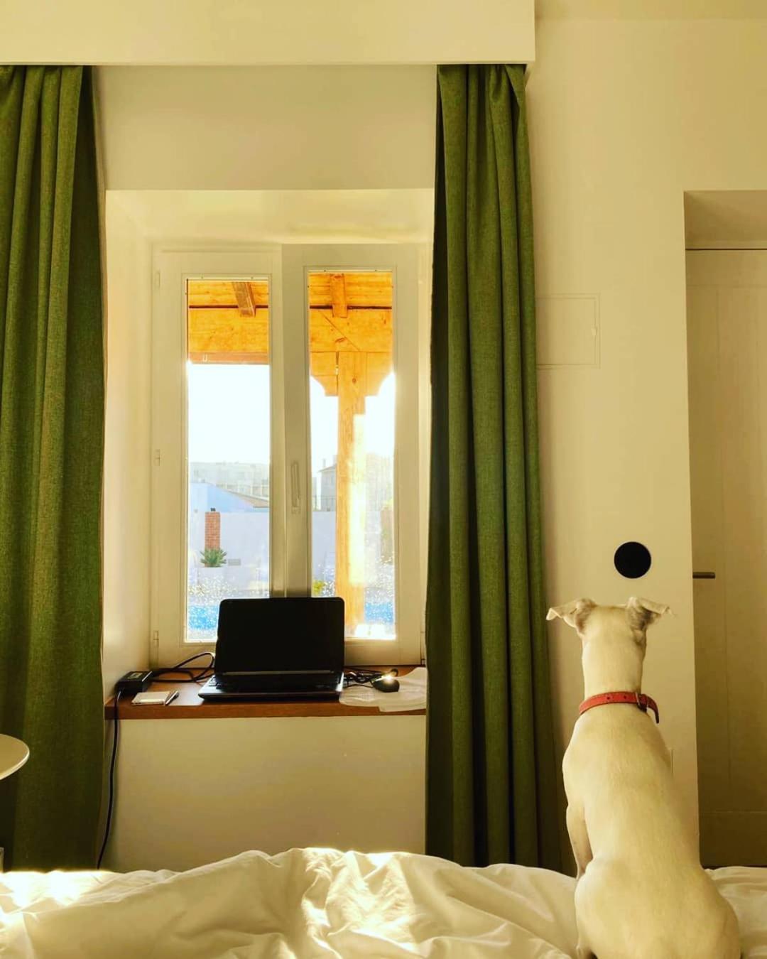 Double Room with Pool View