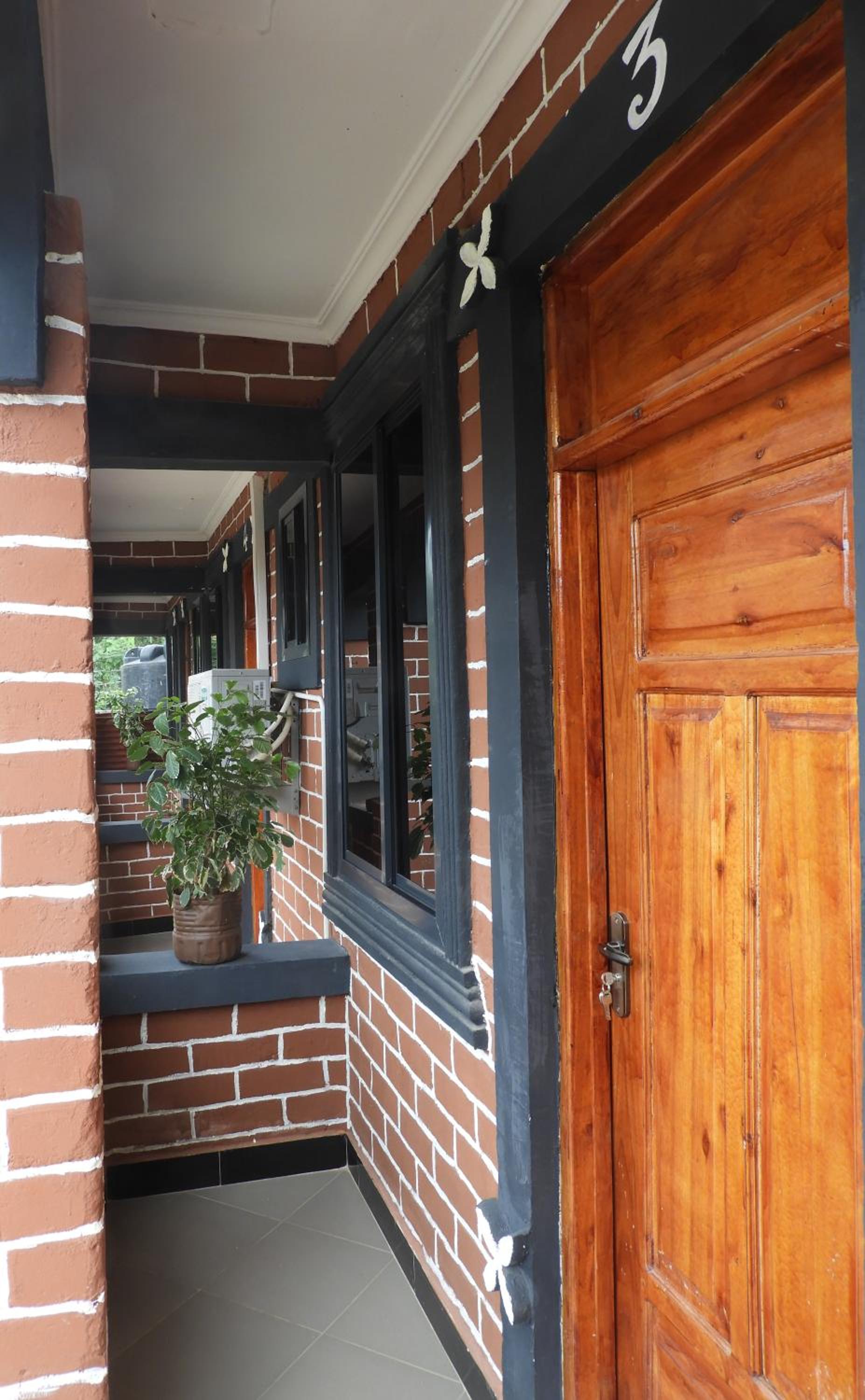 Studio with Terrace photo 1