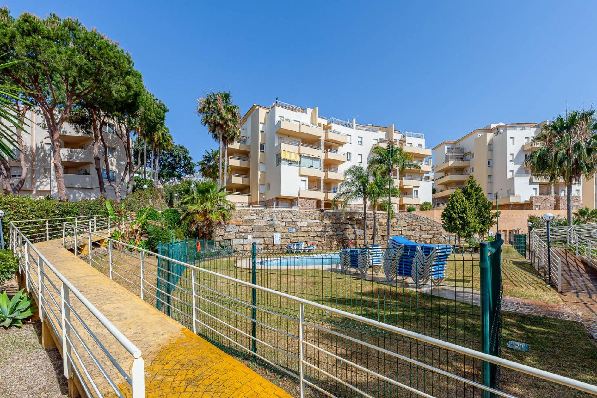 Apartment with Terrace photo 2