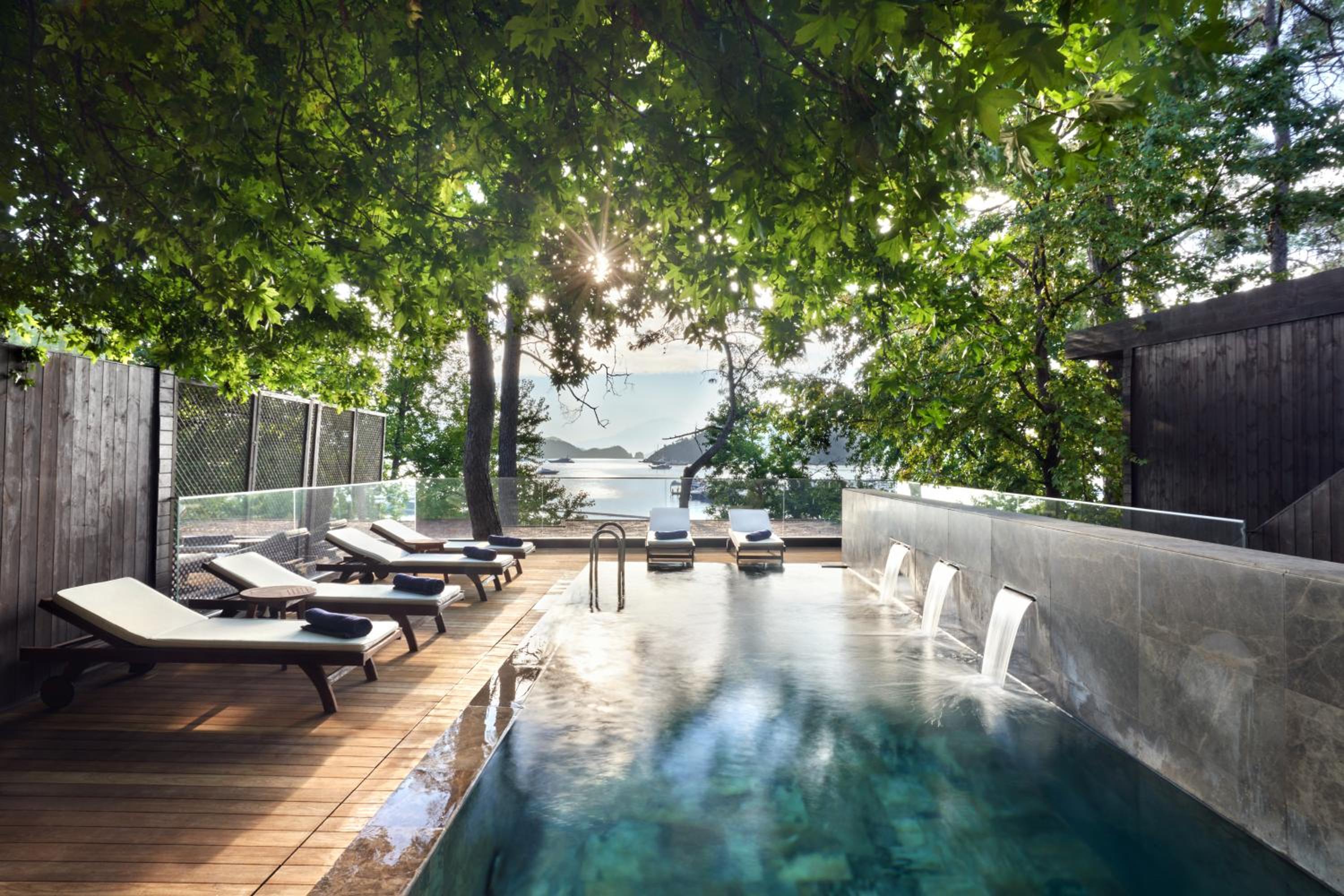 Premium Villa photo 3