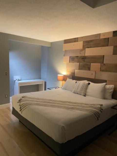Three-Bedroom Suite photo 1