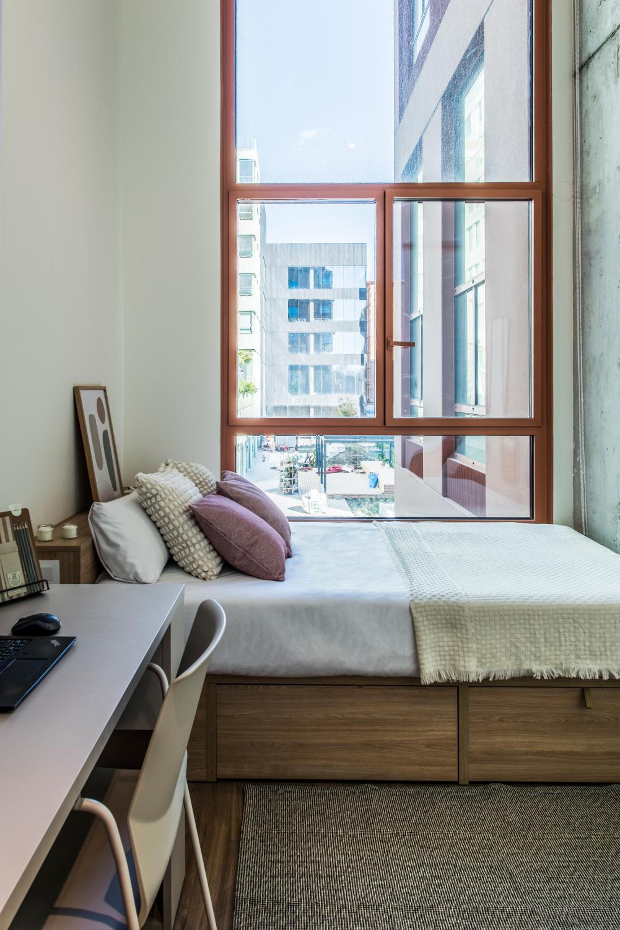 Large Single Room photo 3