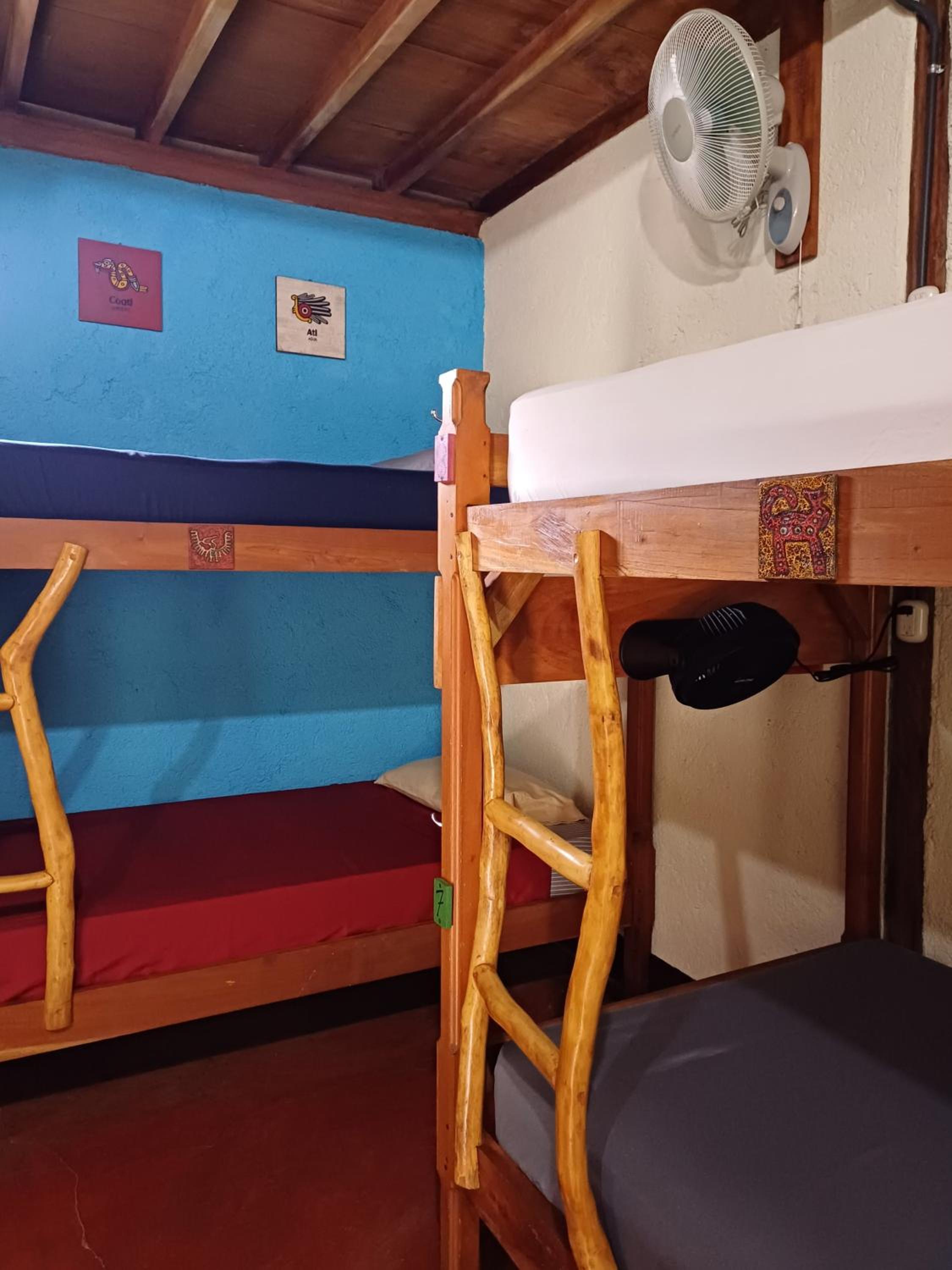 Bunk Bed in Mixed Dormitory Room photo 2