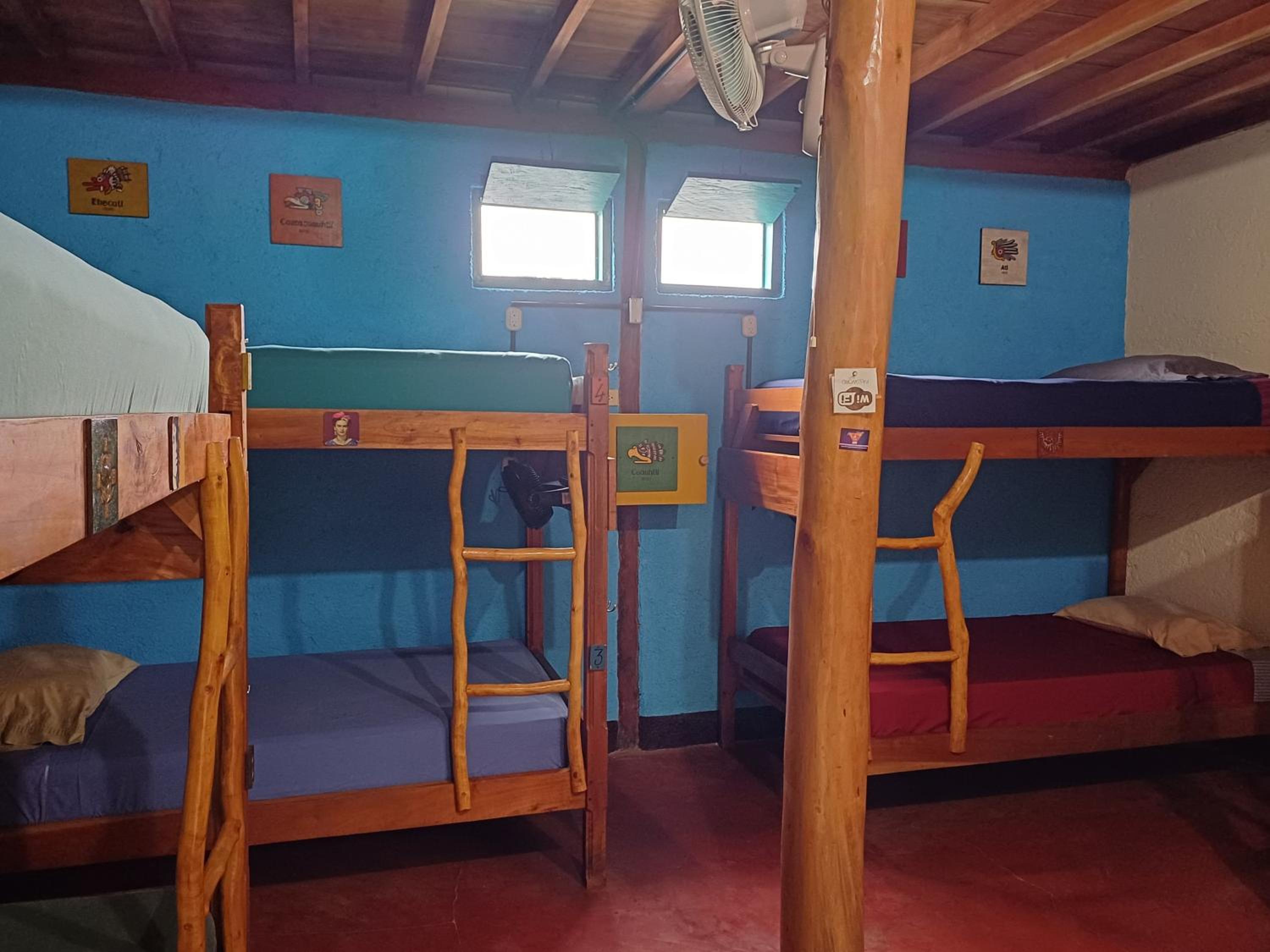 Bunk Bed in Mixed Dormitory Room photo 1