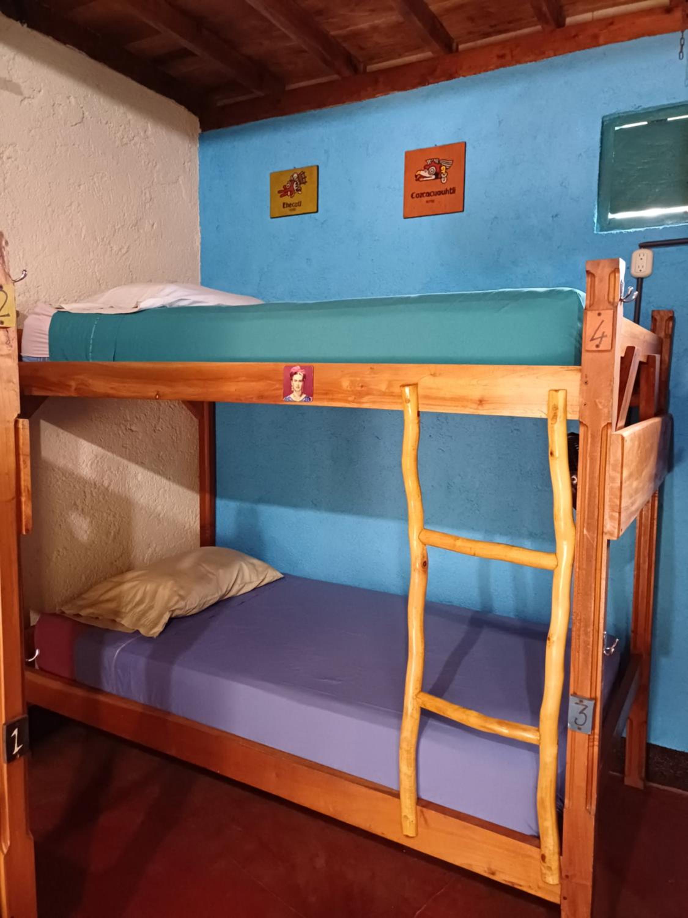 Bunk Bed in Mixed Dormitory Room photo 3