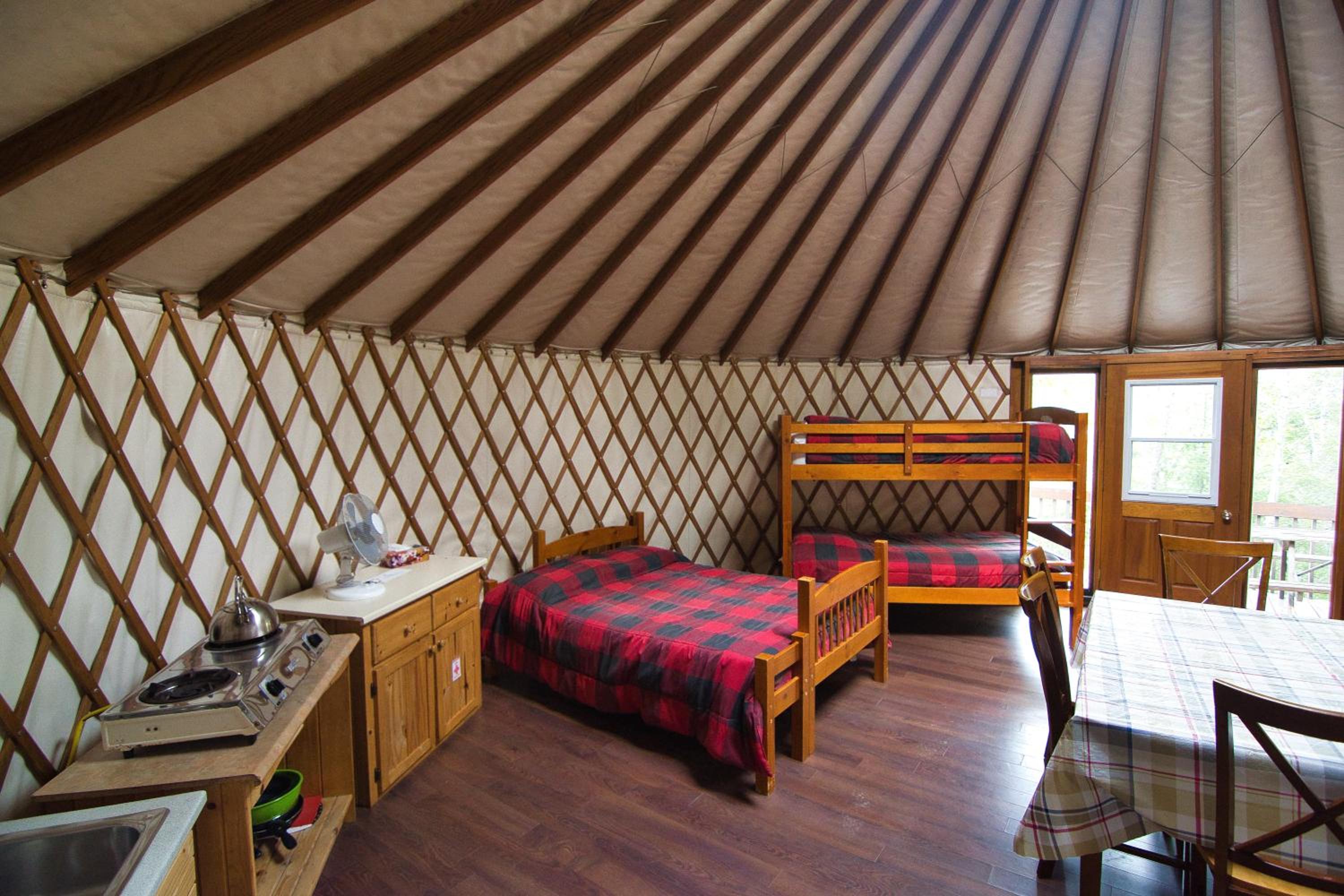 Yurt photo 1