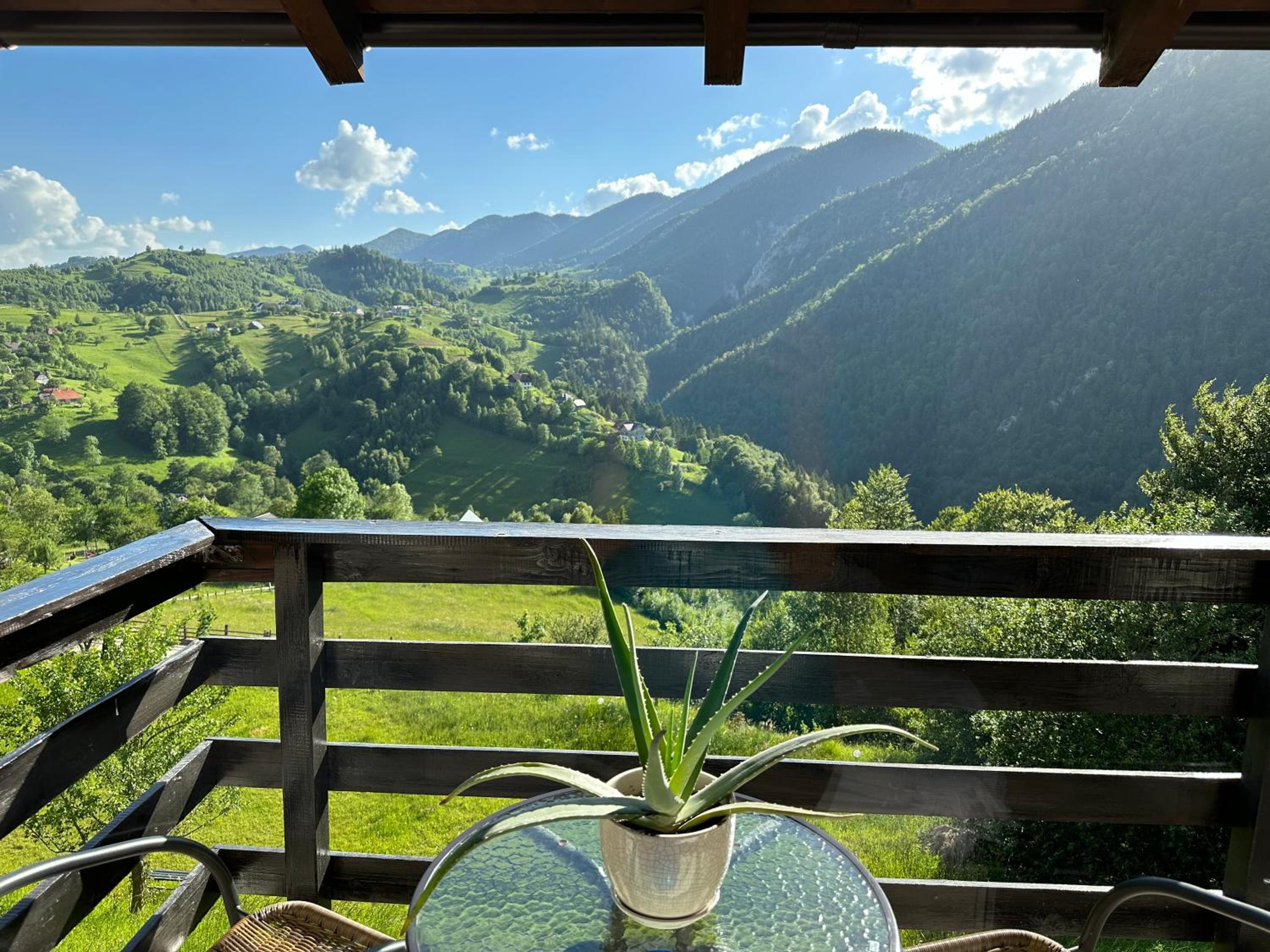 Standard Twin Room with Mountain View photo 2
