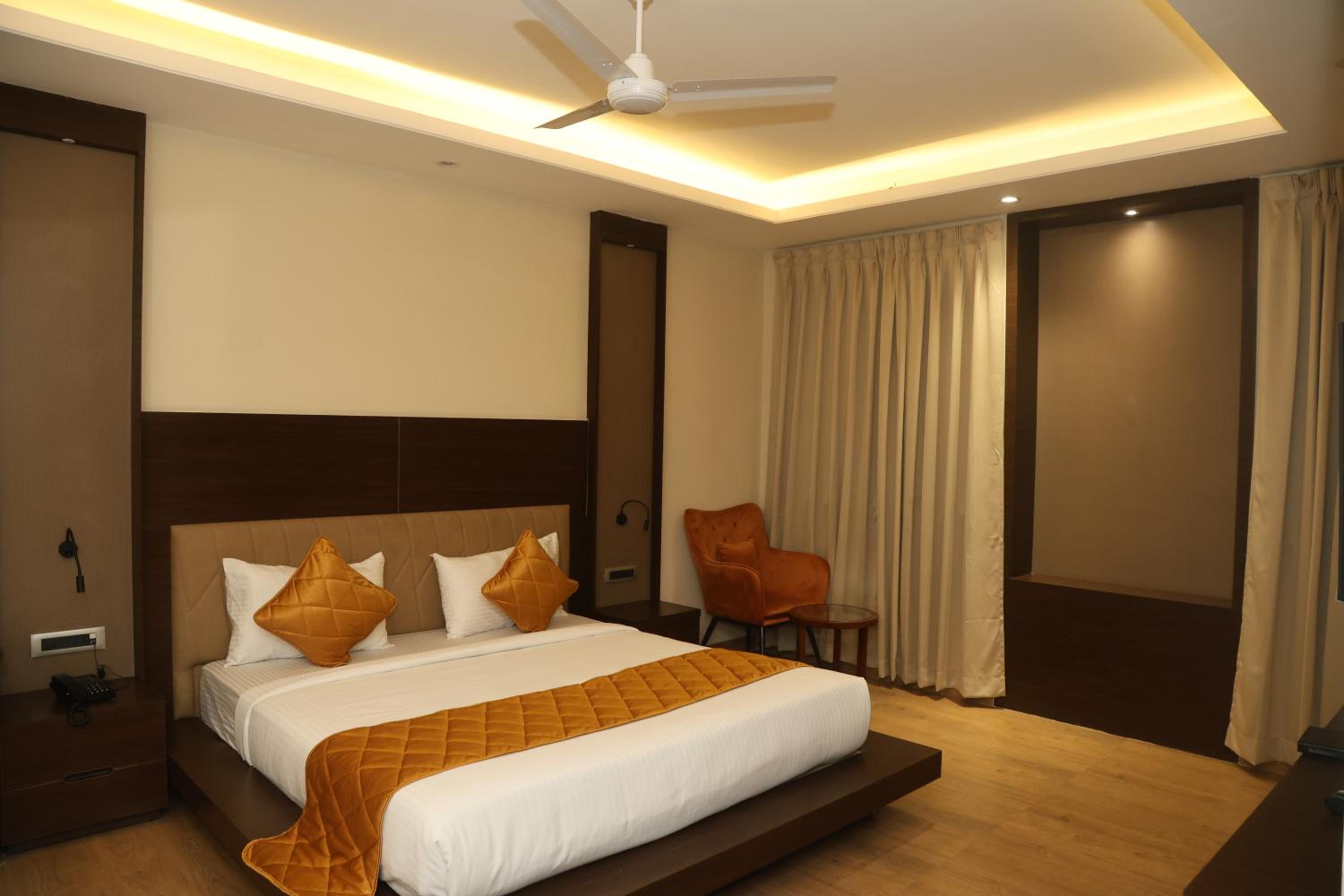 Suite - Photo 2