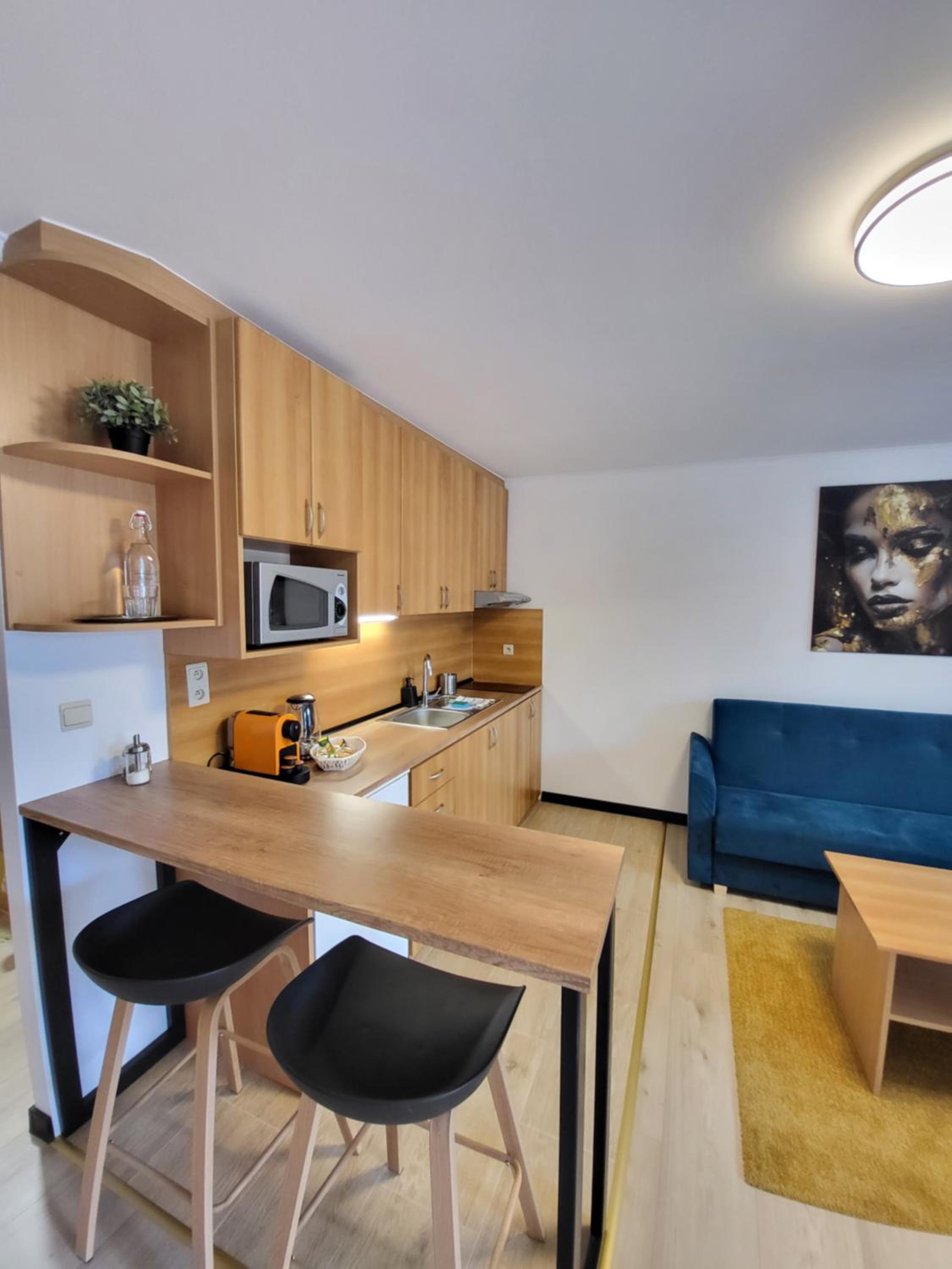 Deluxe One-Bedroom Apartment with Garden View photo 3