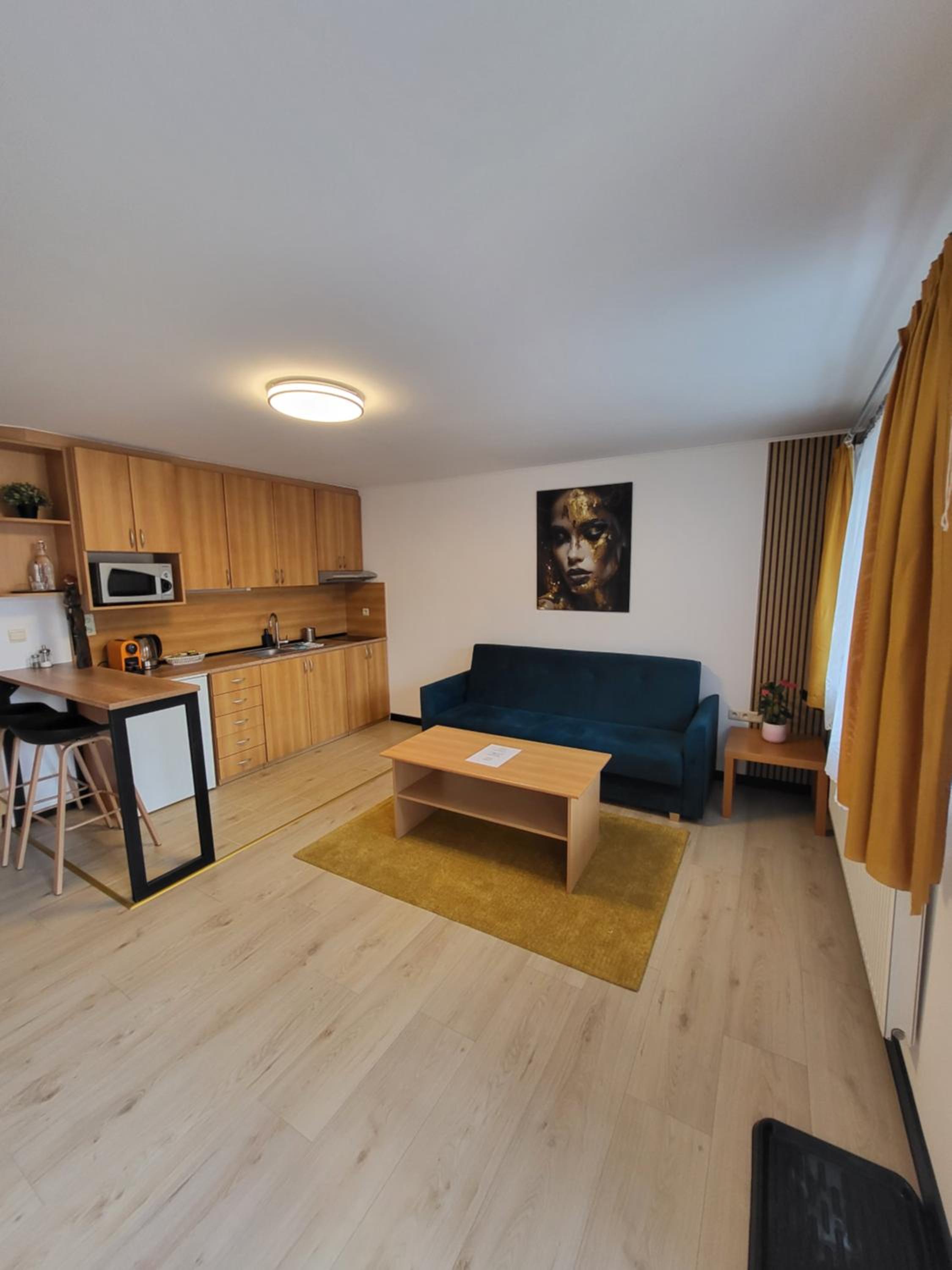 Deluxe One-Bedroom Apartment with Garden View photo 1
