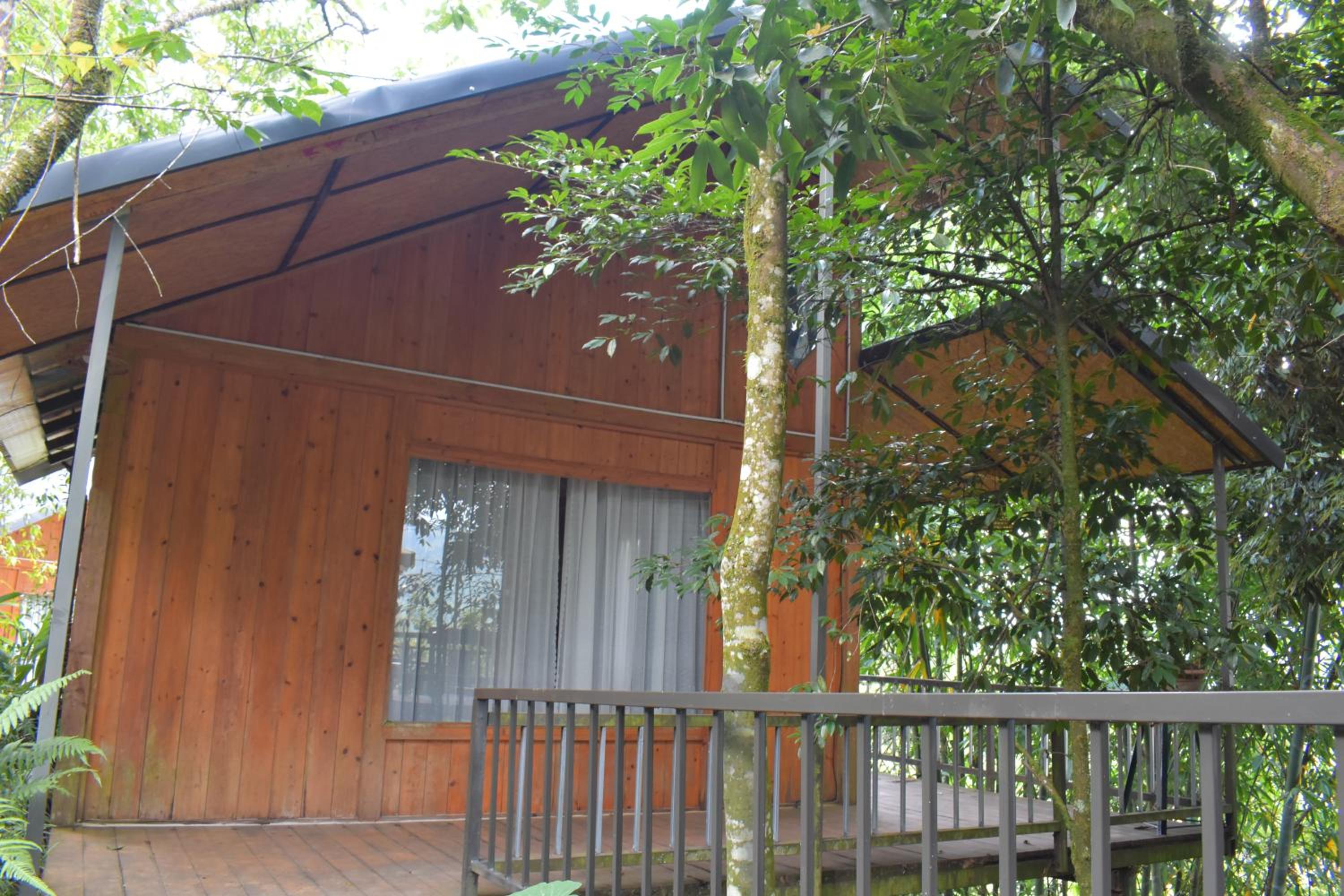 One-Bedroom Bungalow - Photo 4