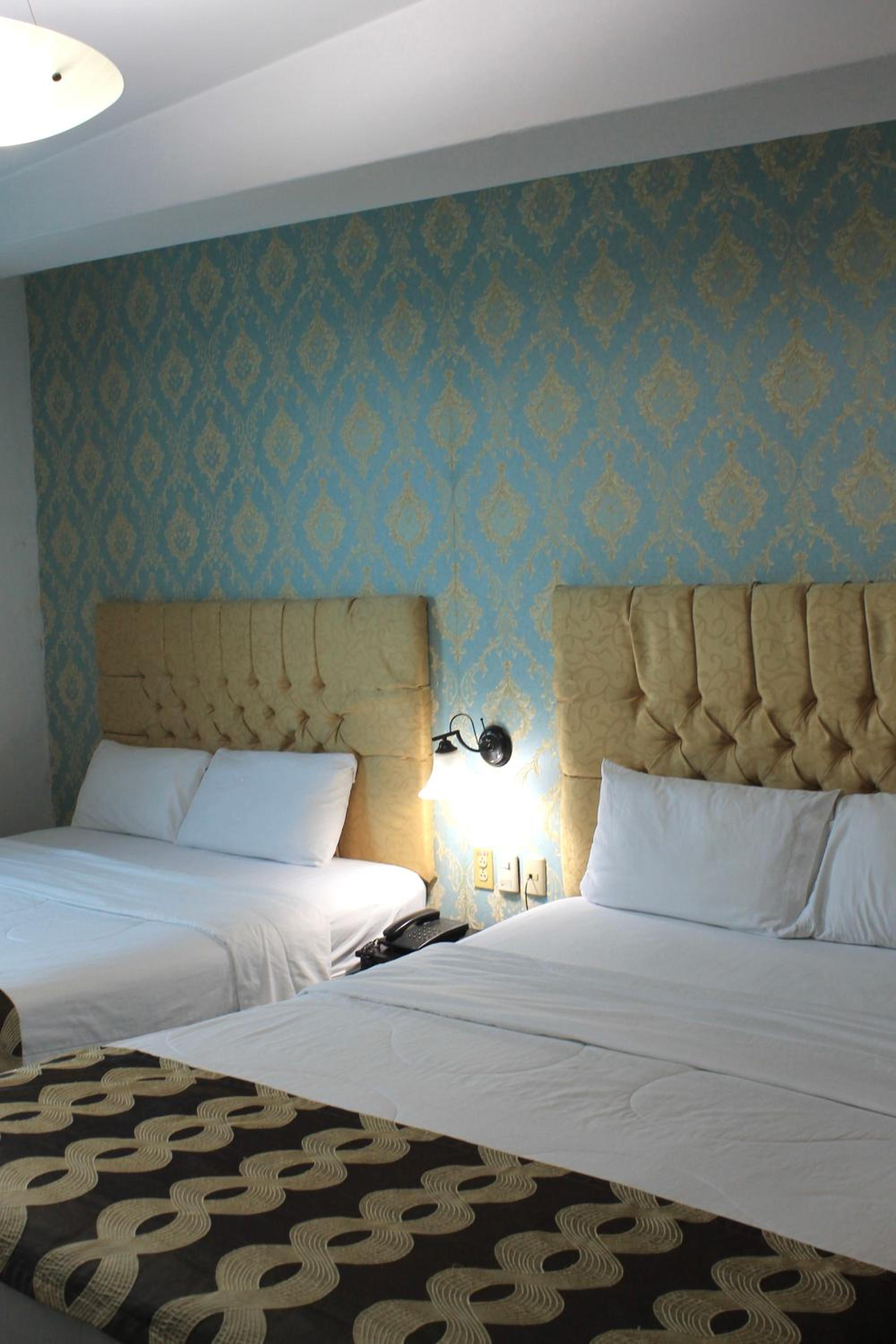 Twin Room photo 3