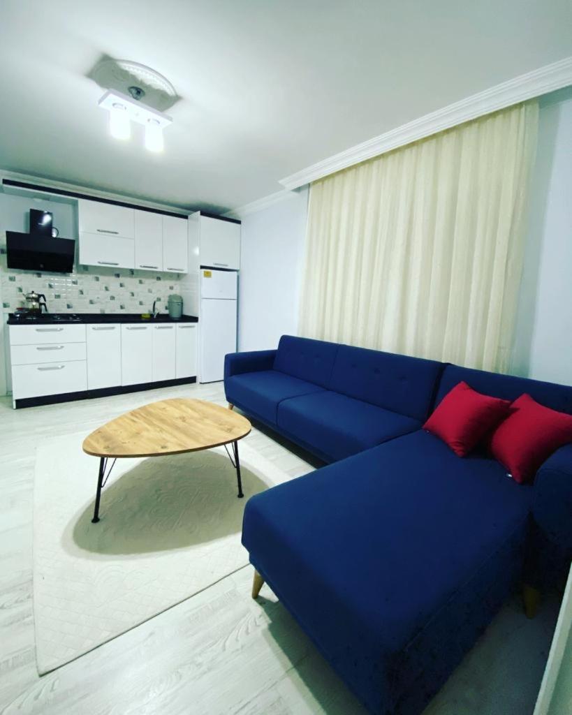 Deluxe Studio - Photo 1