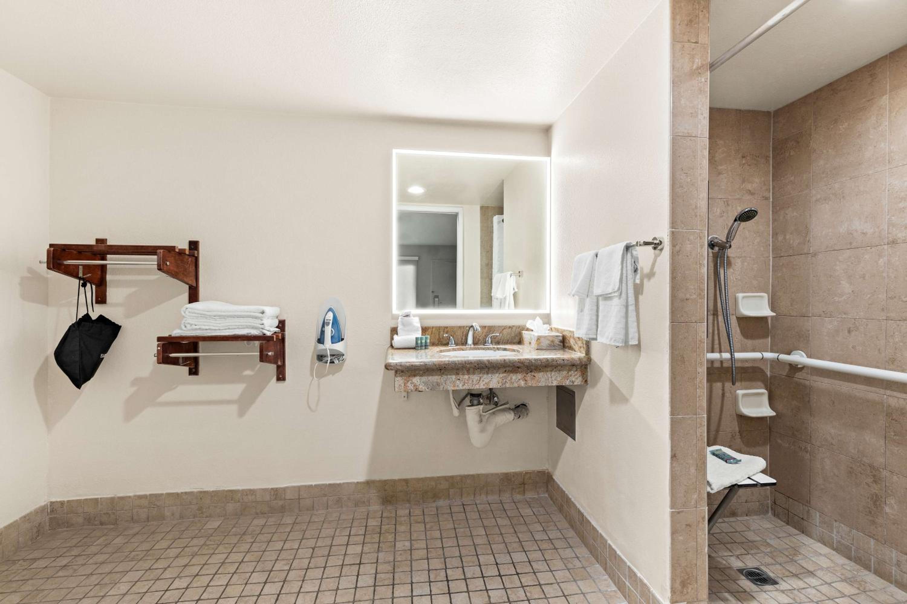 King Room with Roll-in Shower - Disability Access/Non-Smoking - Photo 4