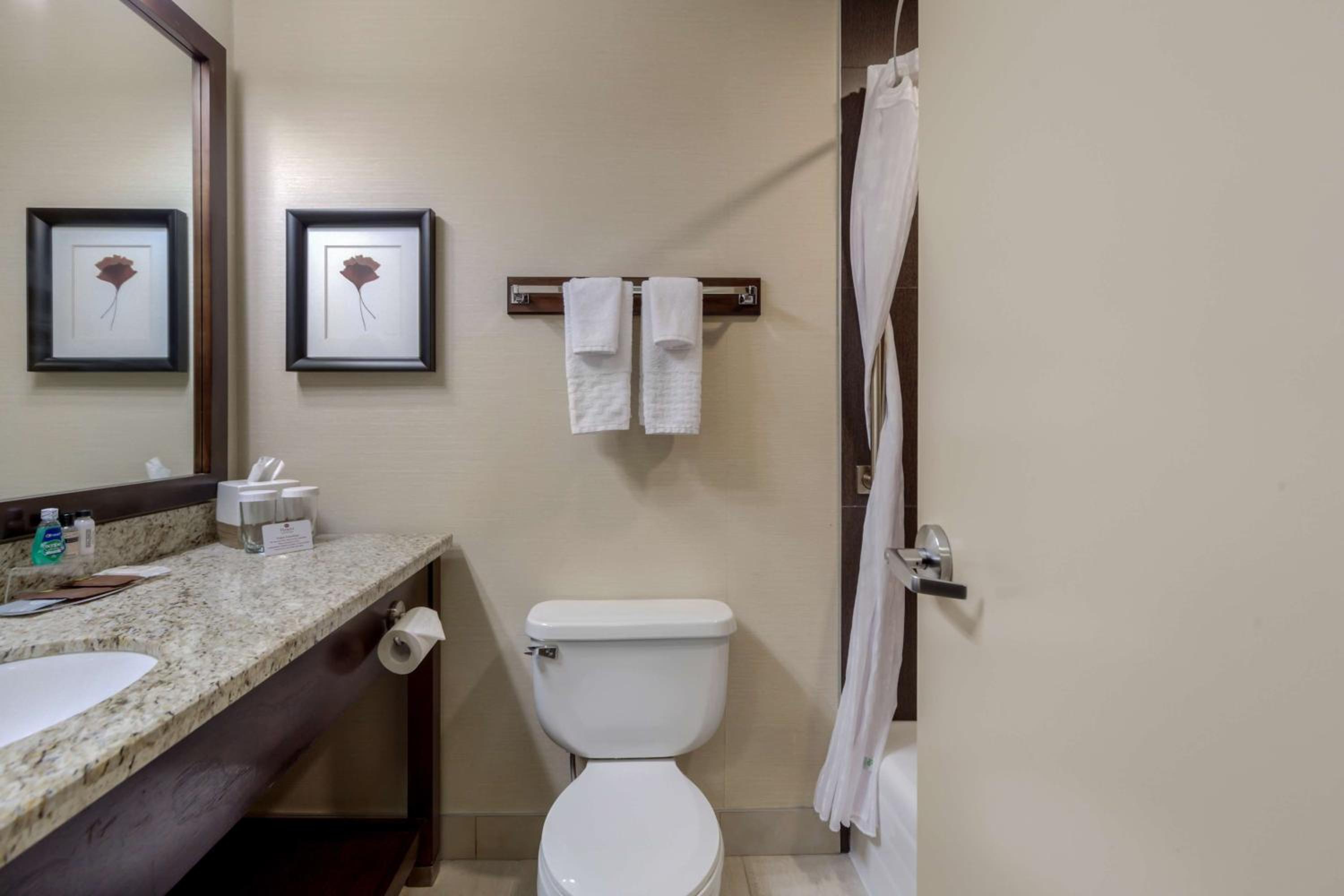 King Suite with Walk-In-Shower - Non-Smoking - Photo 5