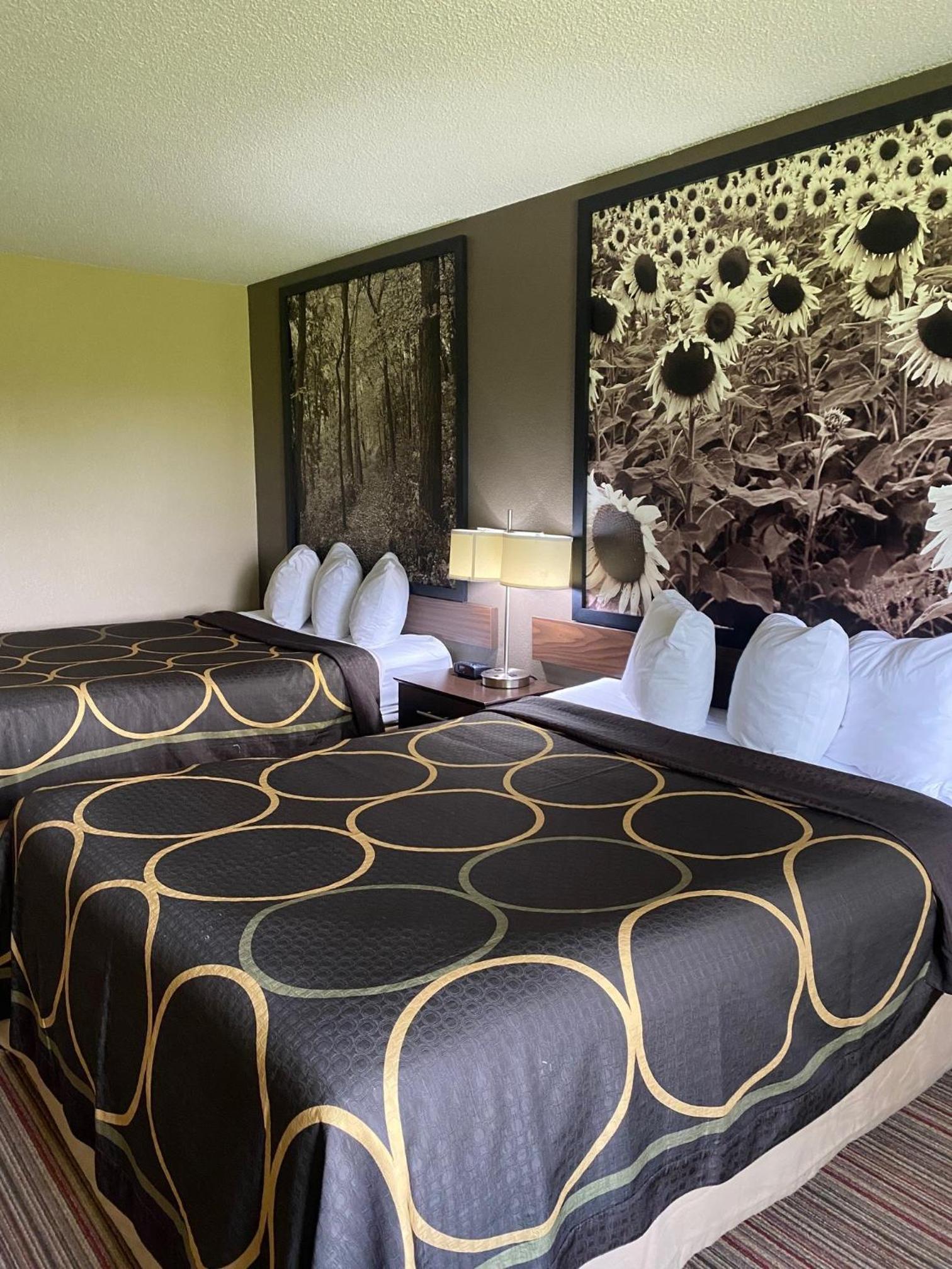 Queen Room with Two Queen Beds - Disability Access/Non-Smoking photo 1