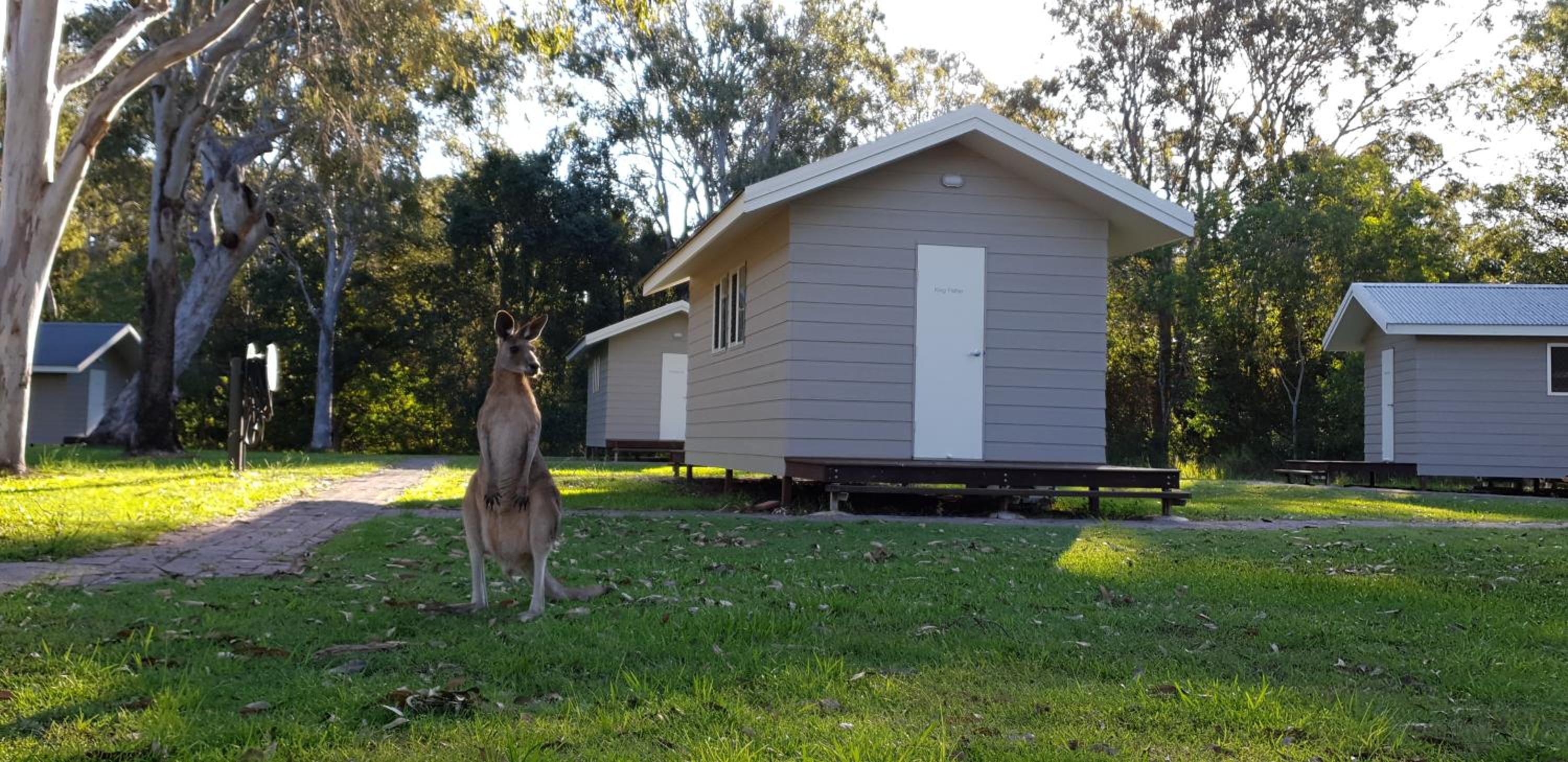 Queen Cabin photo 3