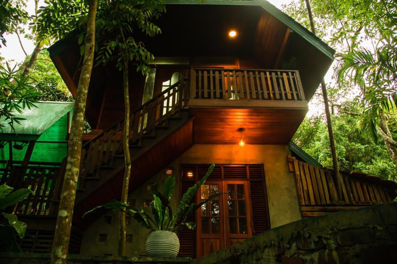 Double Room with Balcony photo 2
