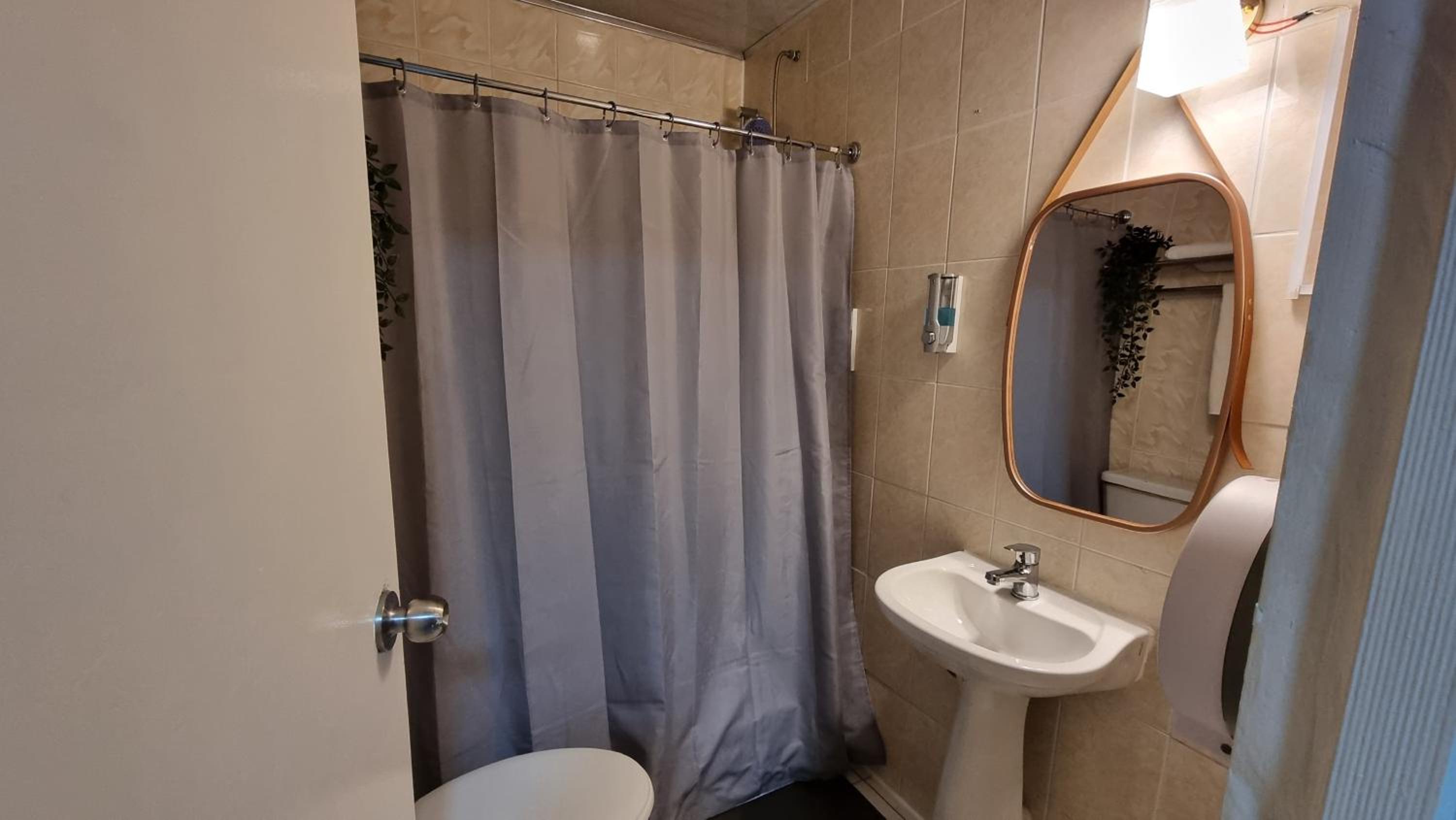 Single Room photo 3