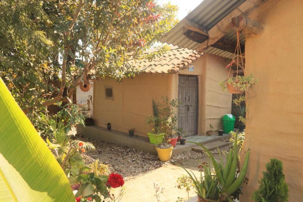One-Bedroom Villa photo 2