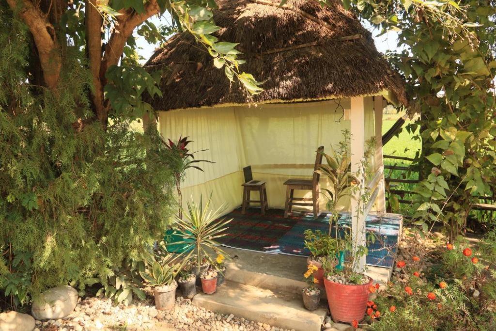 One-Bedroom Villa photo 1