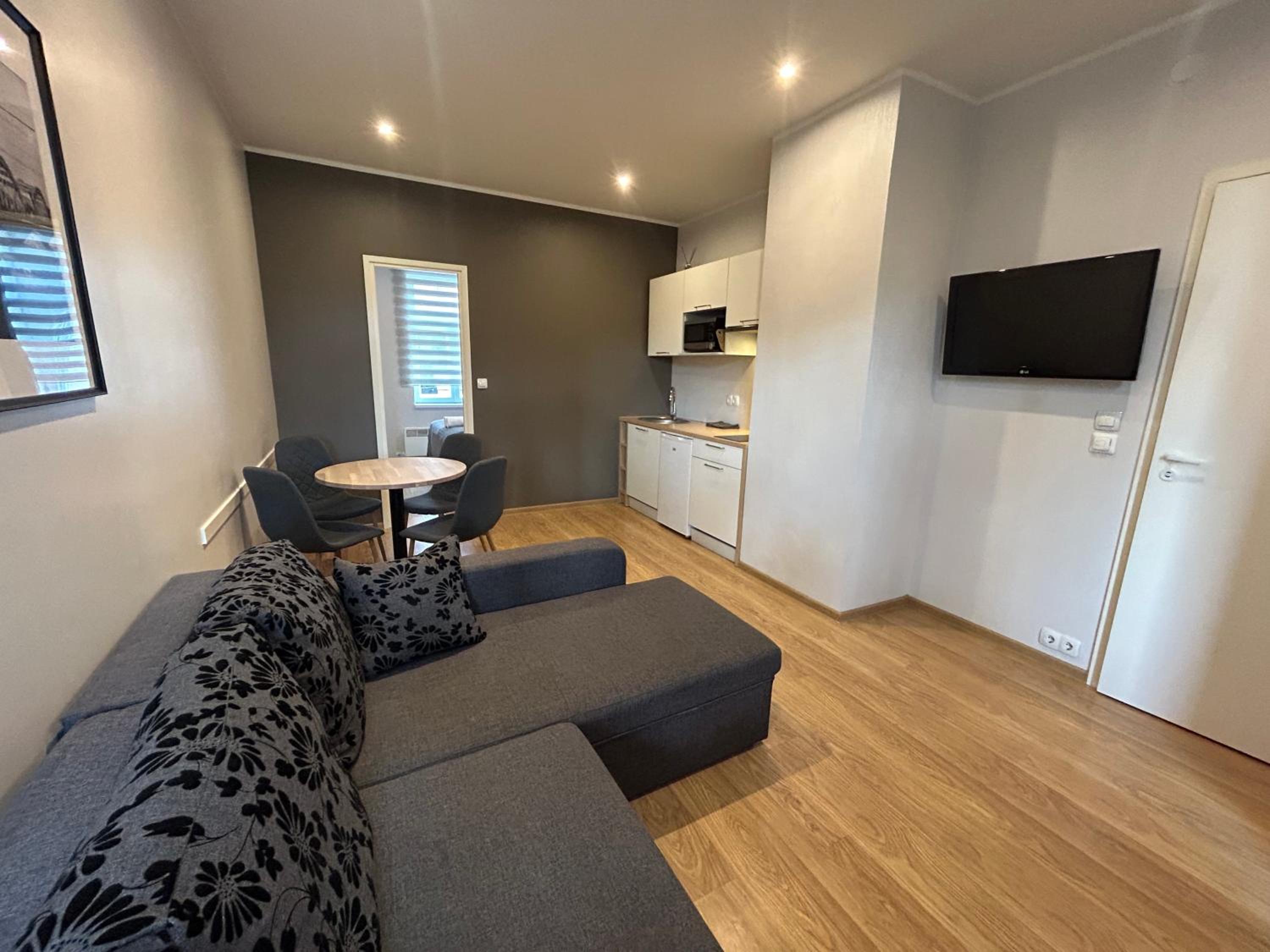 One-Bedroom Apartment - Photo 4