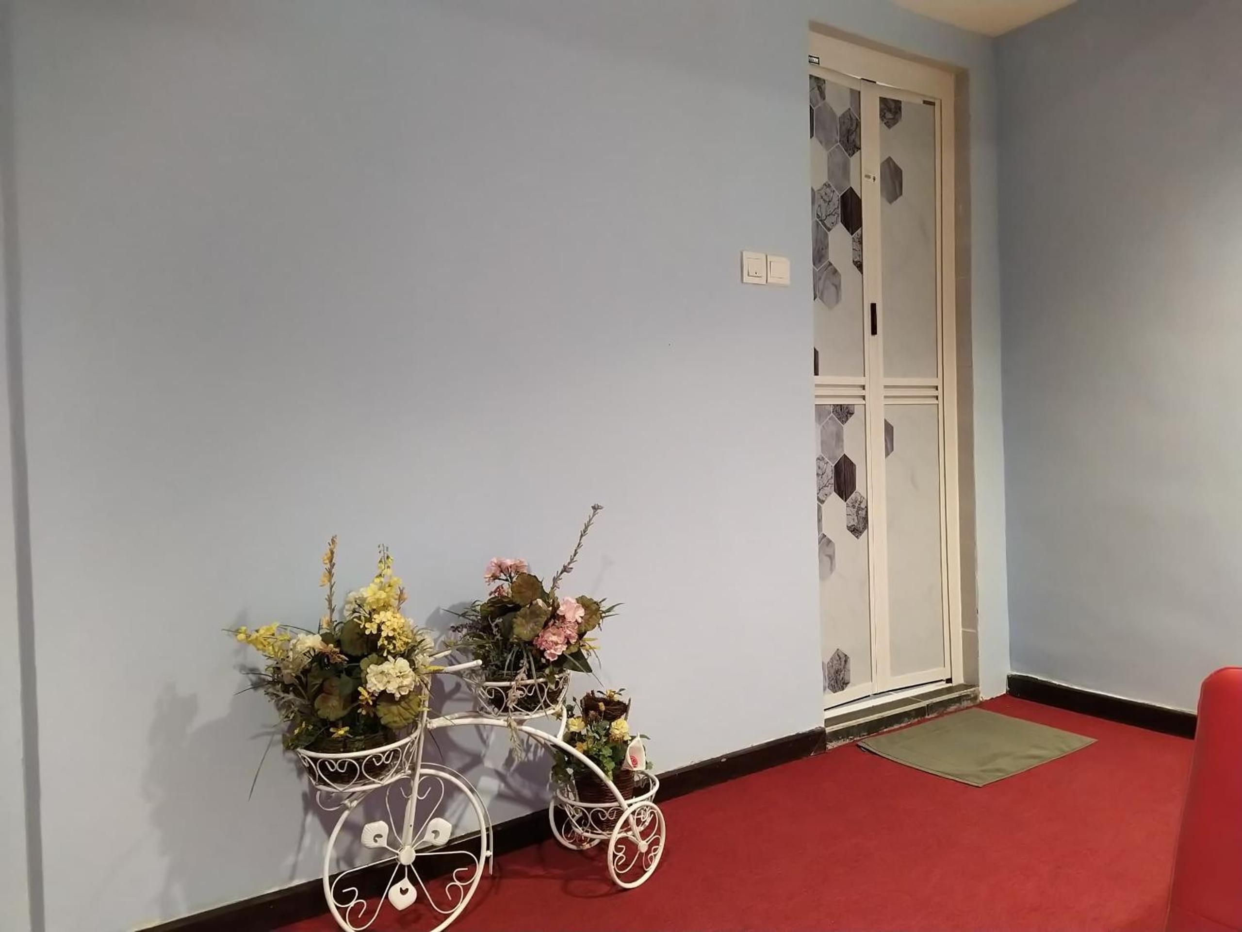 Standard Queen Room