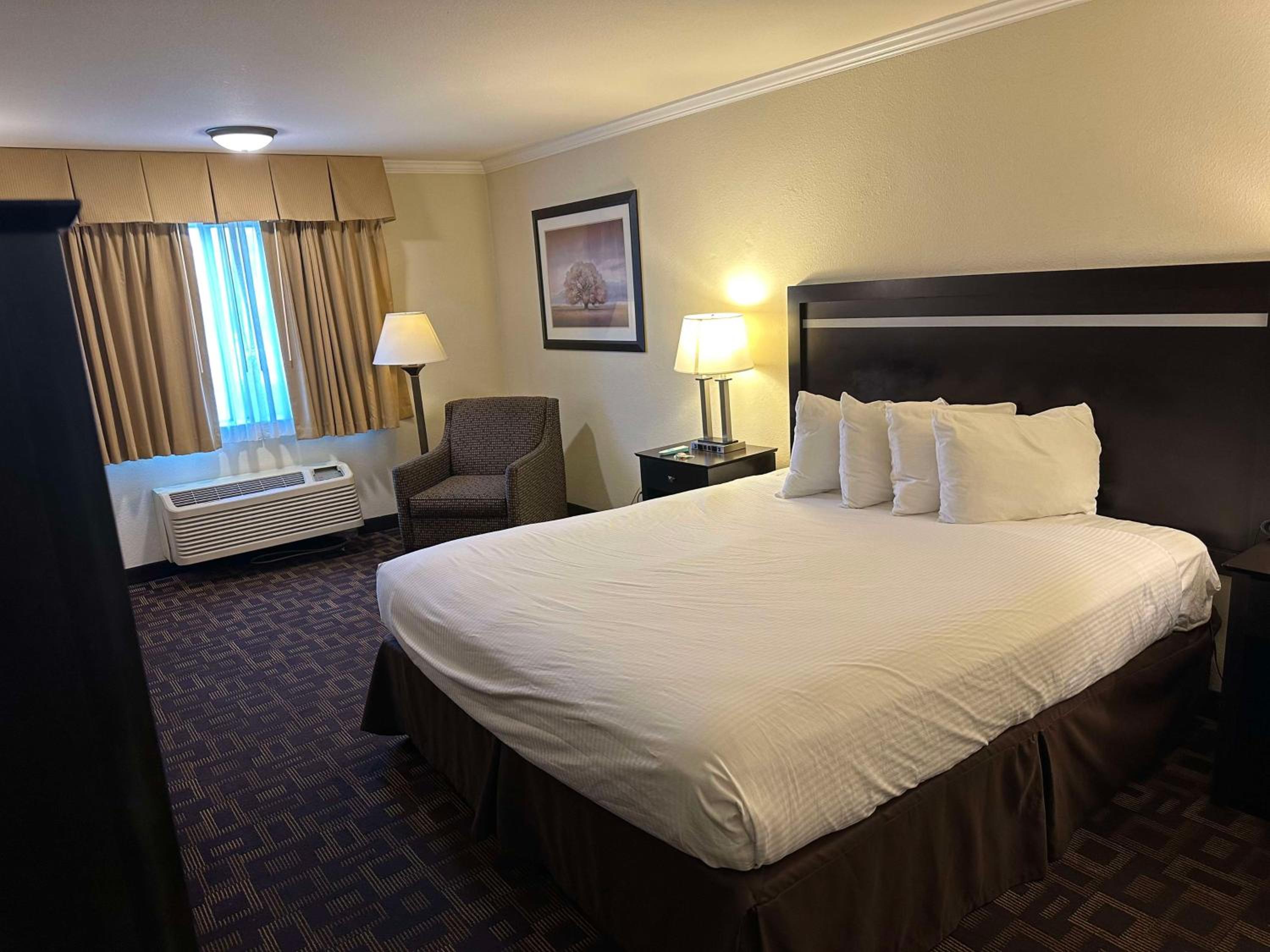 Junior King Suite with Roll-In Shower - Mobility Accessible/Non-Smoking - Photo 1