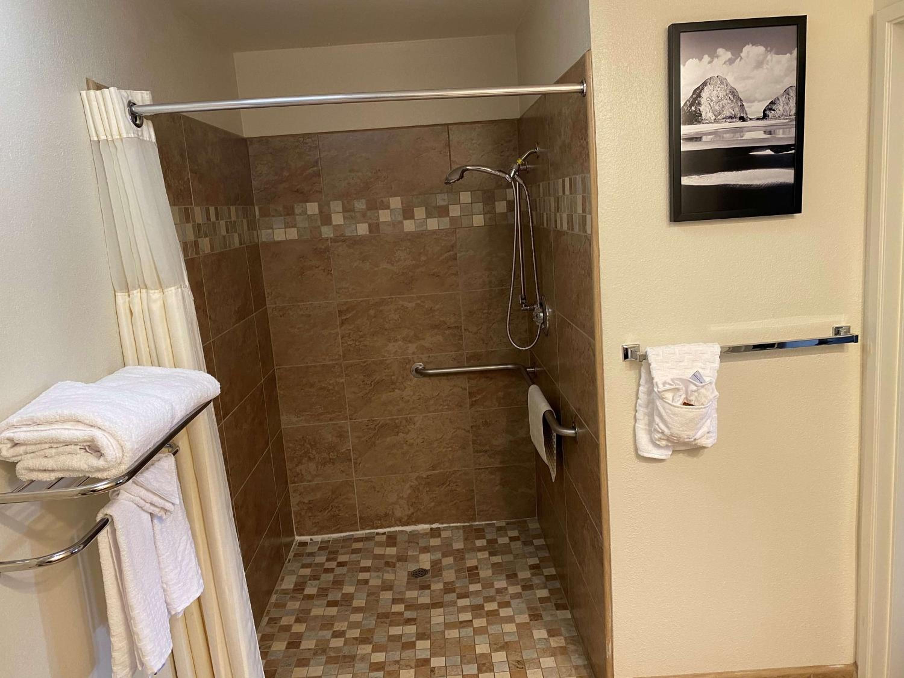 Junior King Suite with Roll-In Shower - Mobility Accessible/Non-Smoking - Photo 3