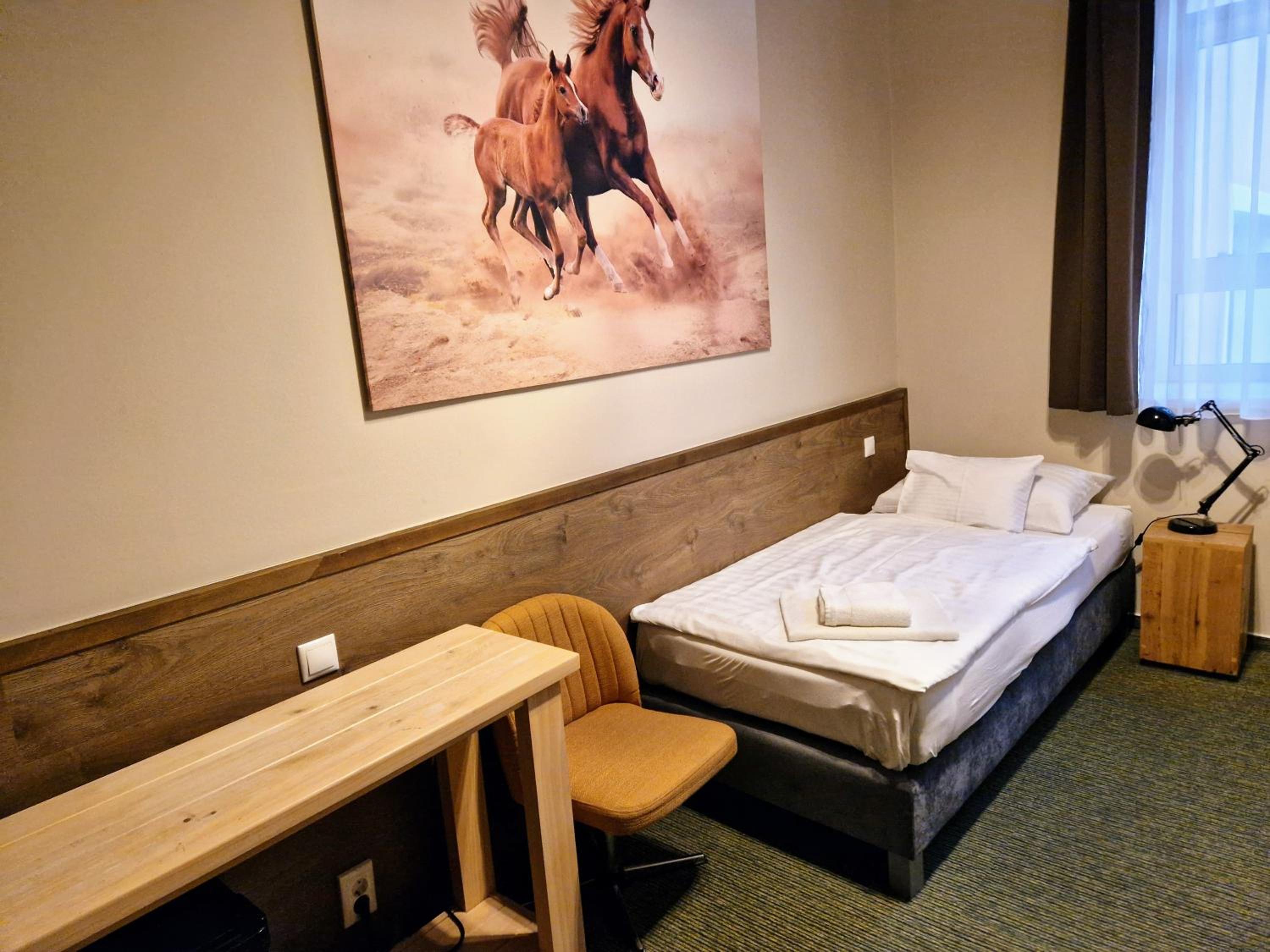 Standard Single Room photo 1