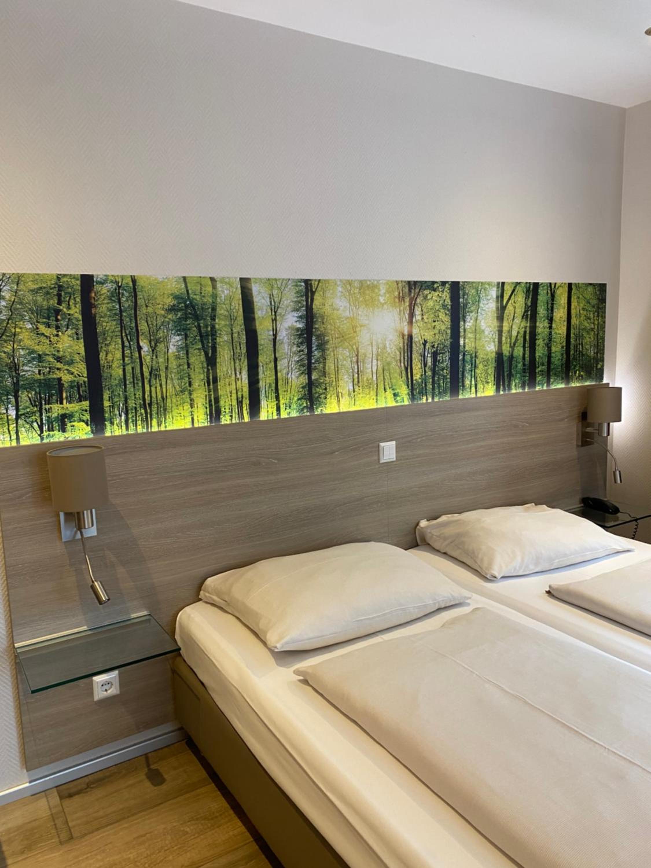 Single Room photo 2