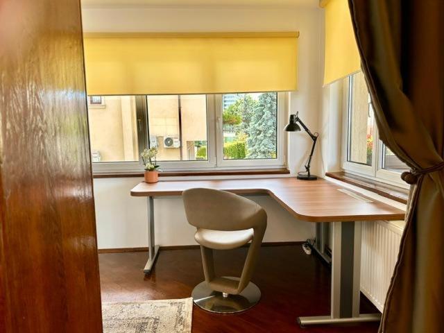 Apartment with Terrace photo 2