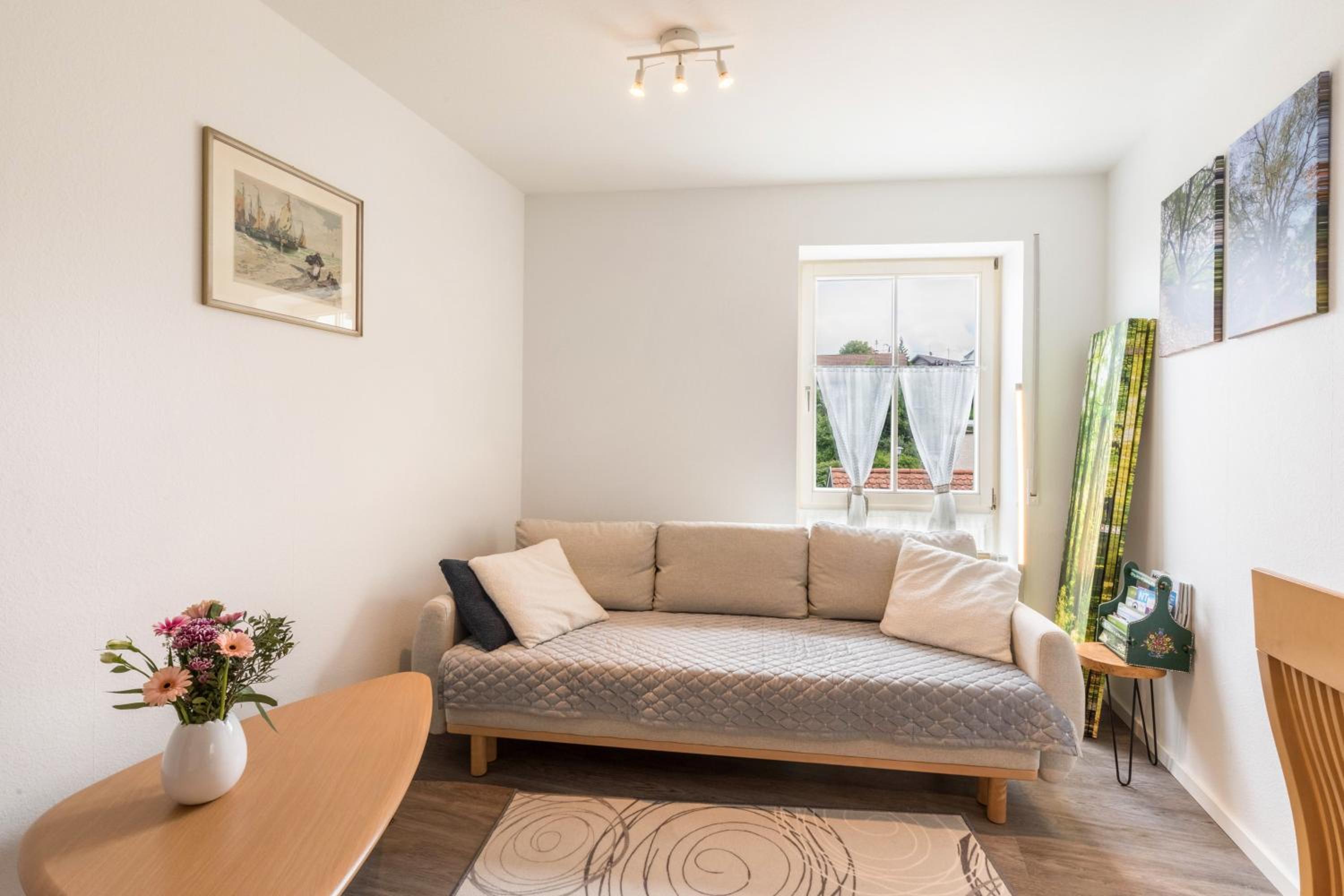 Superior One-Bedroom Apartment with Balcony photo 1