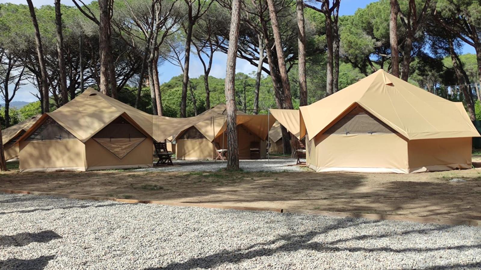 Tienda de Glamping